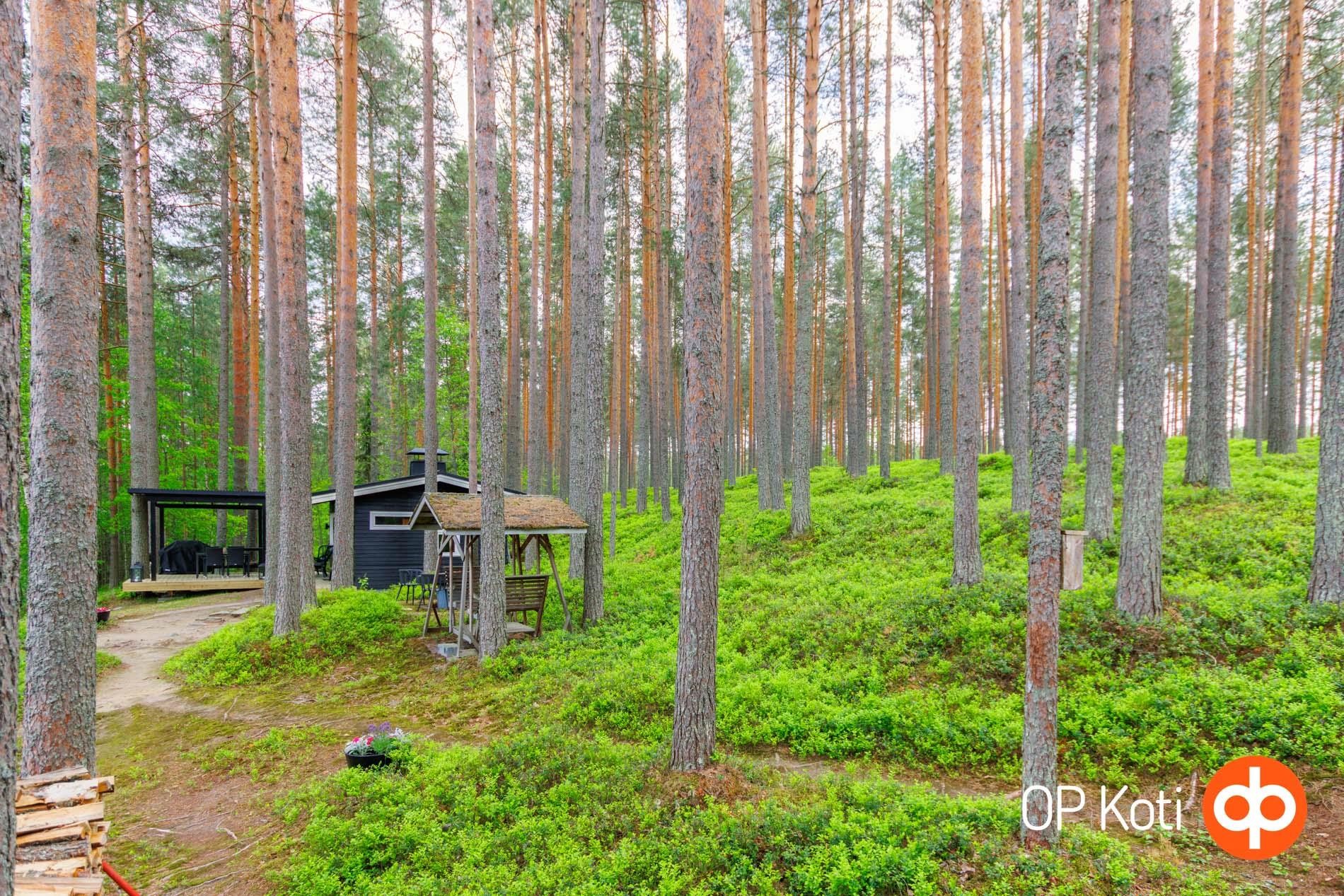 Kohdekuva 21