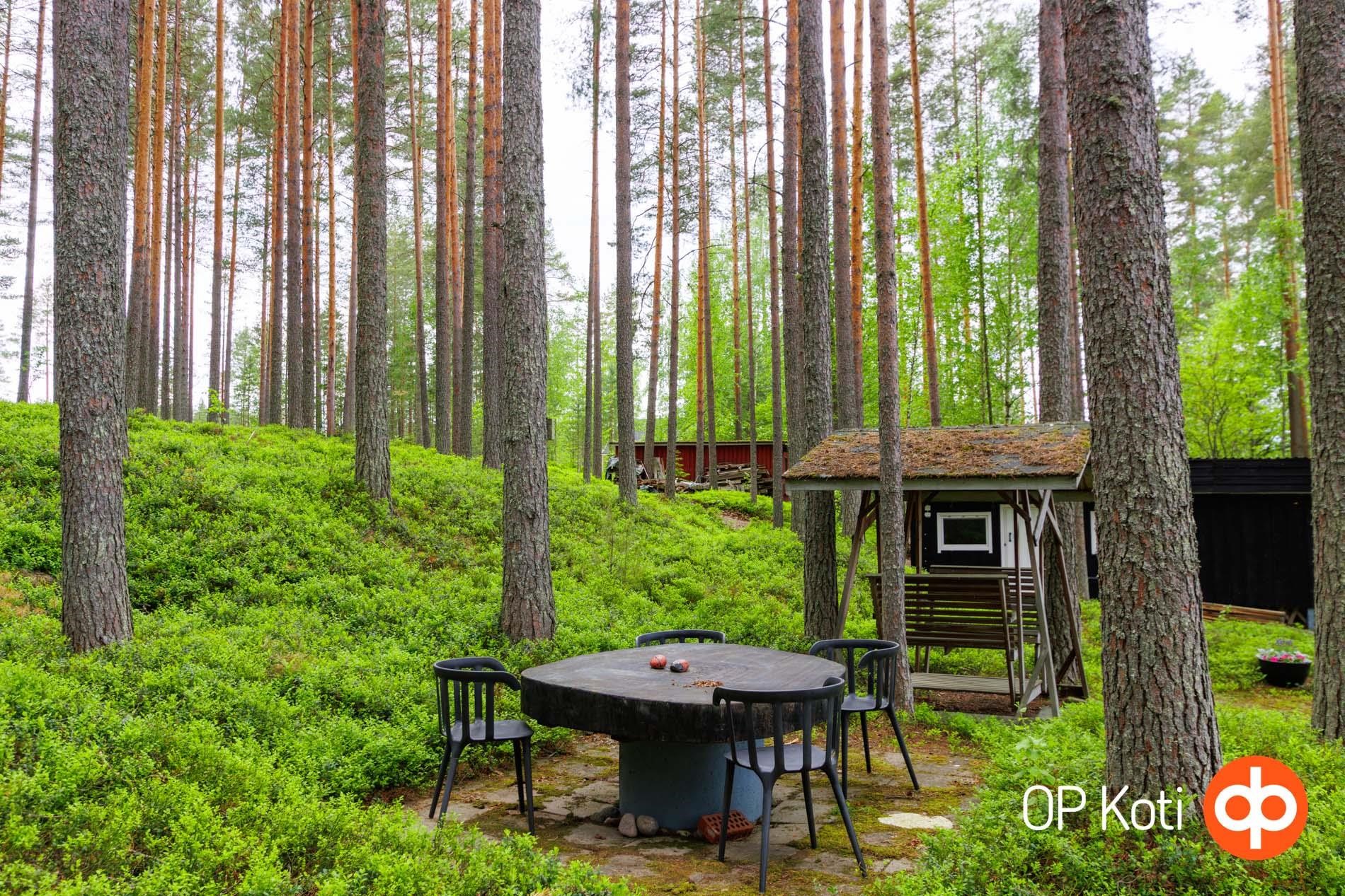 Kohdekuva 18