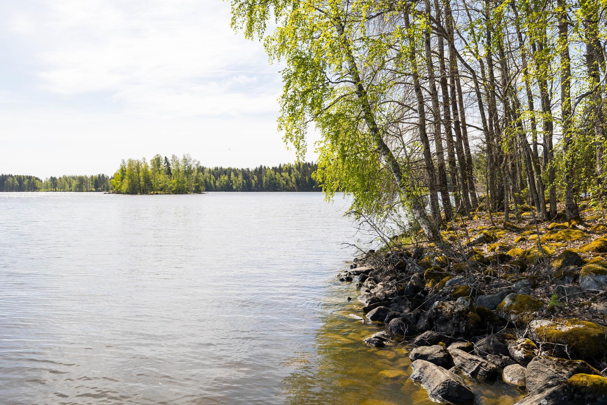 Kohdekuva 35