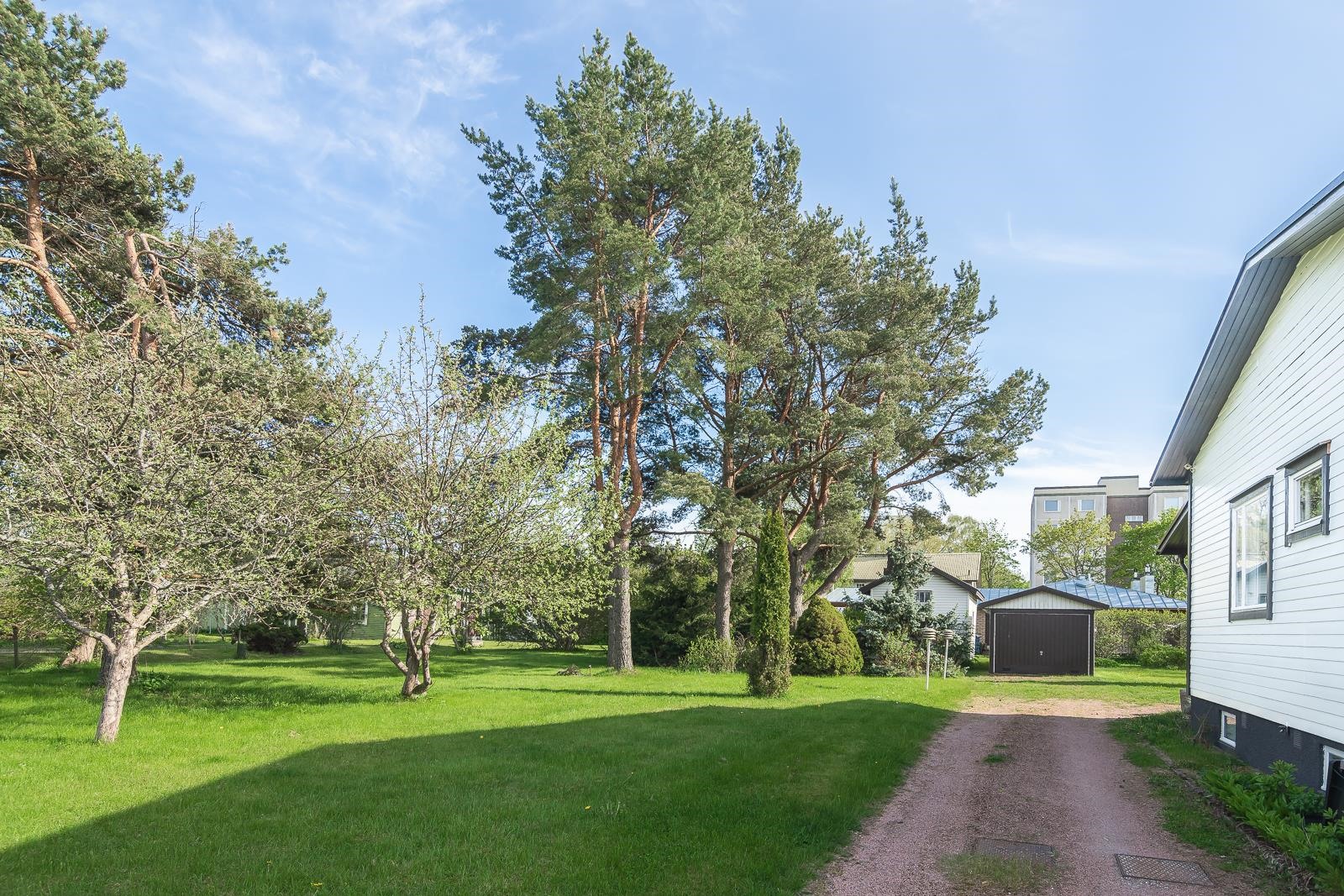 Kohdekuva 8