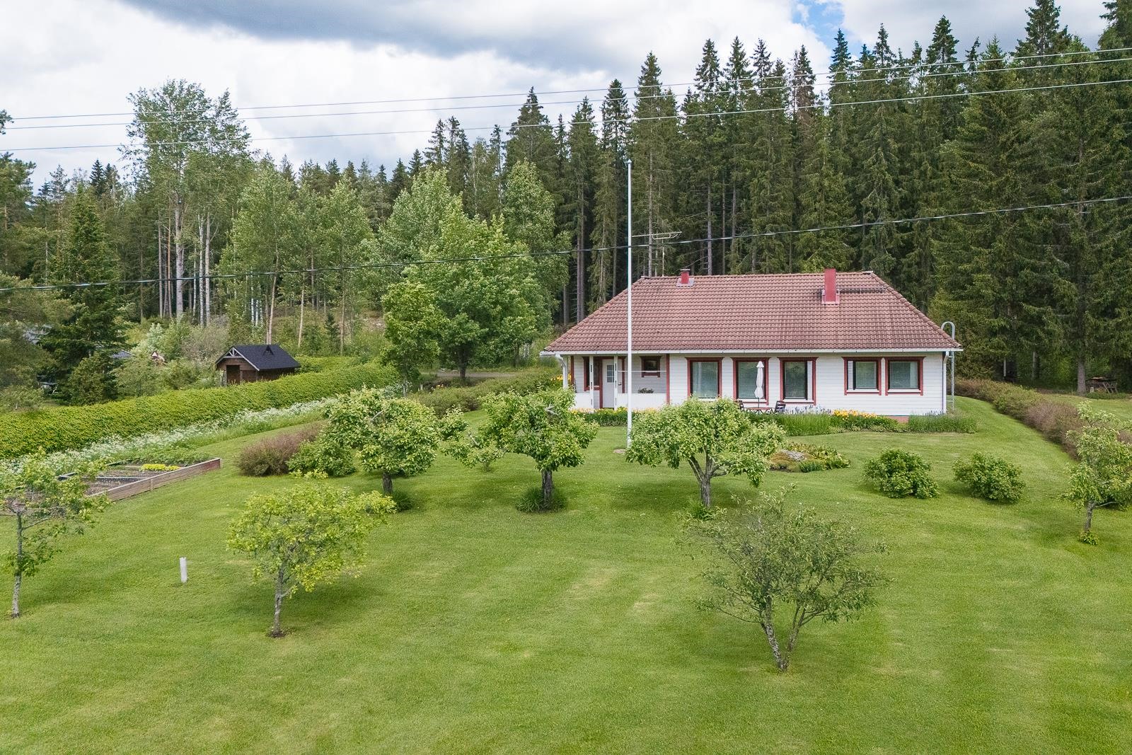 Kohdekuva 35