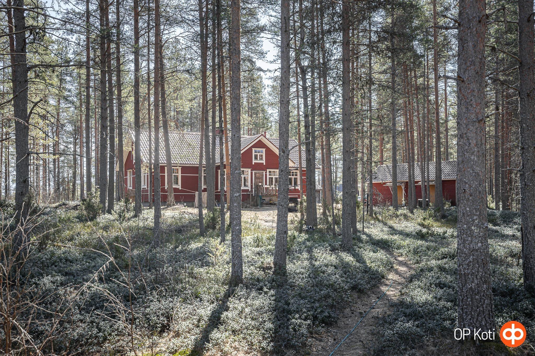 Kohdekuva 19