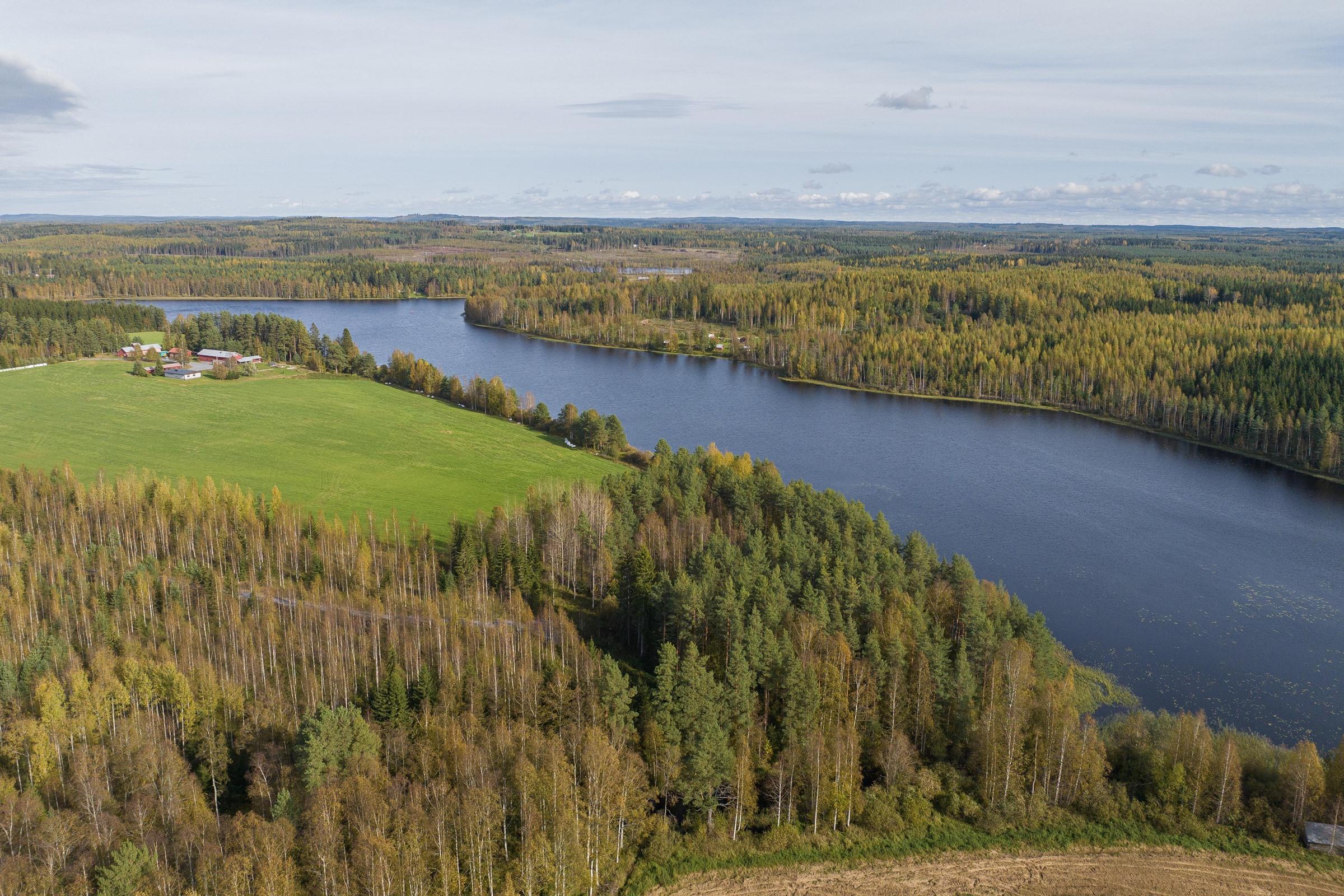 Kohdekuva 7