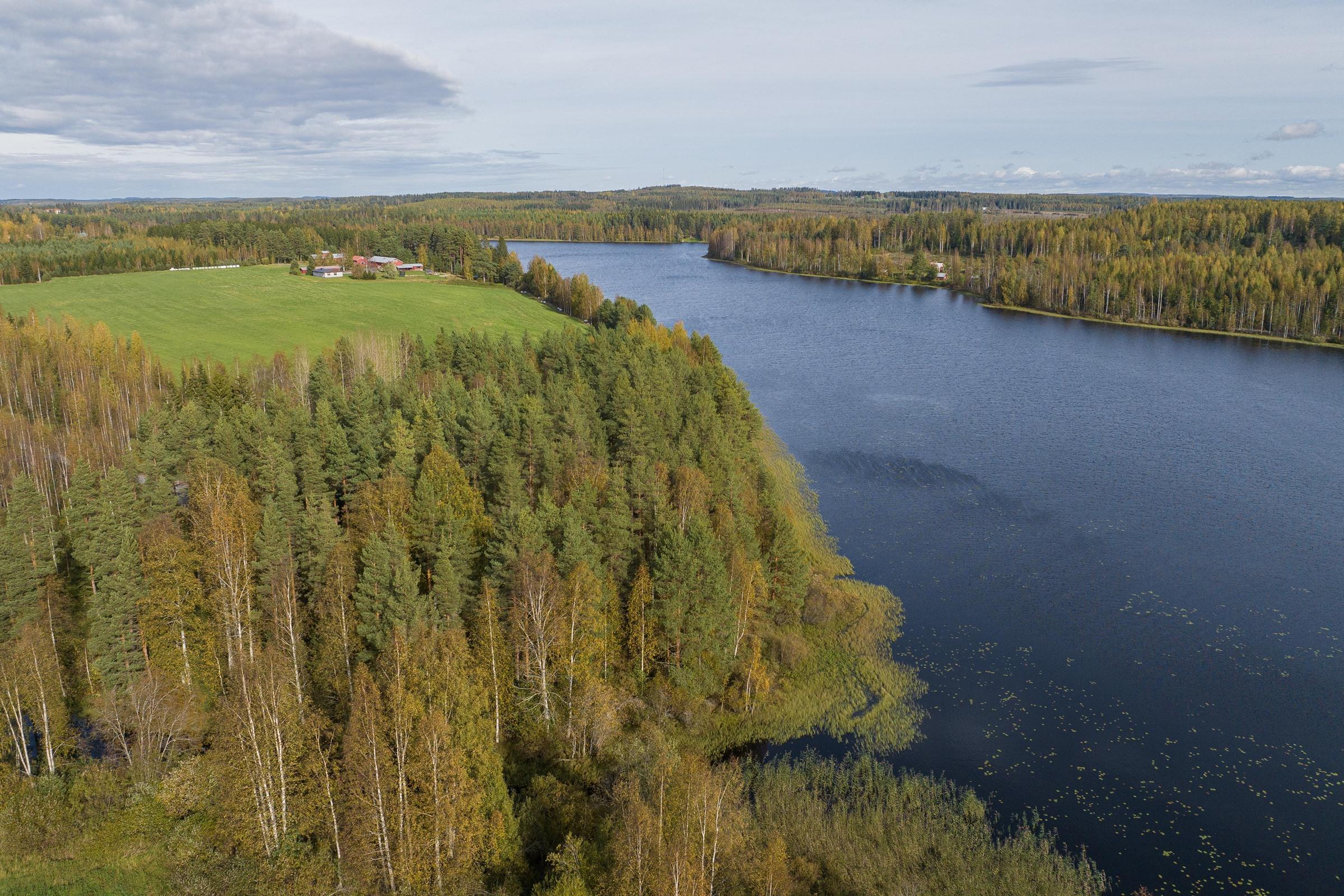 Kohdekuva 4