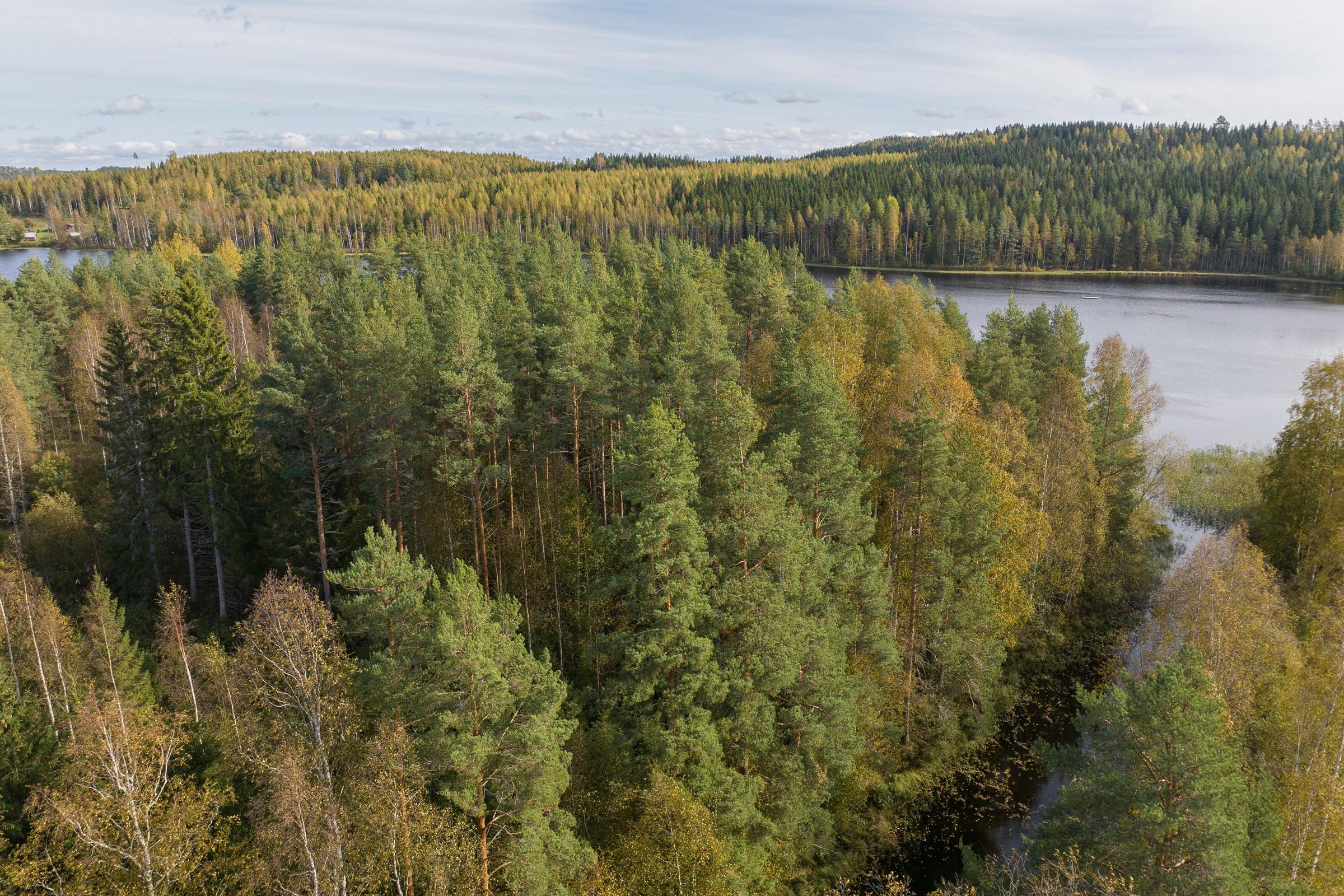 Kohdekuva 2