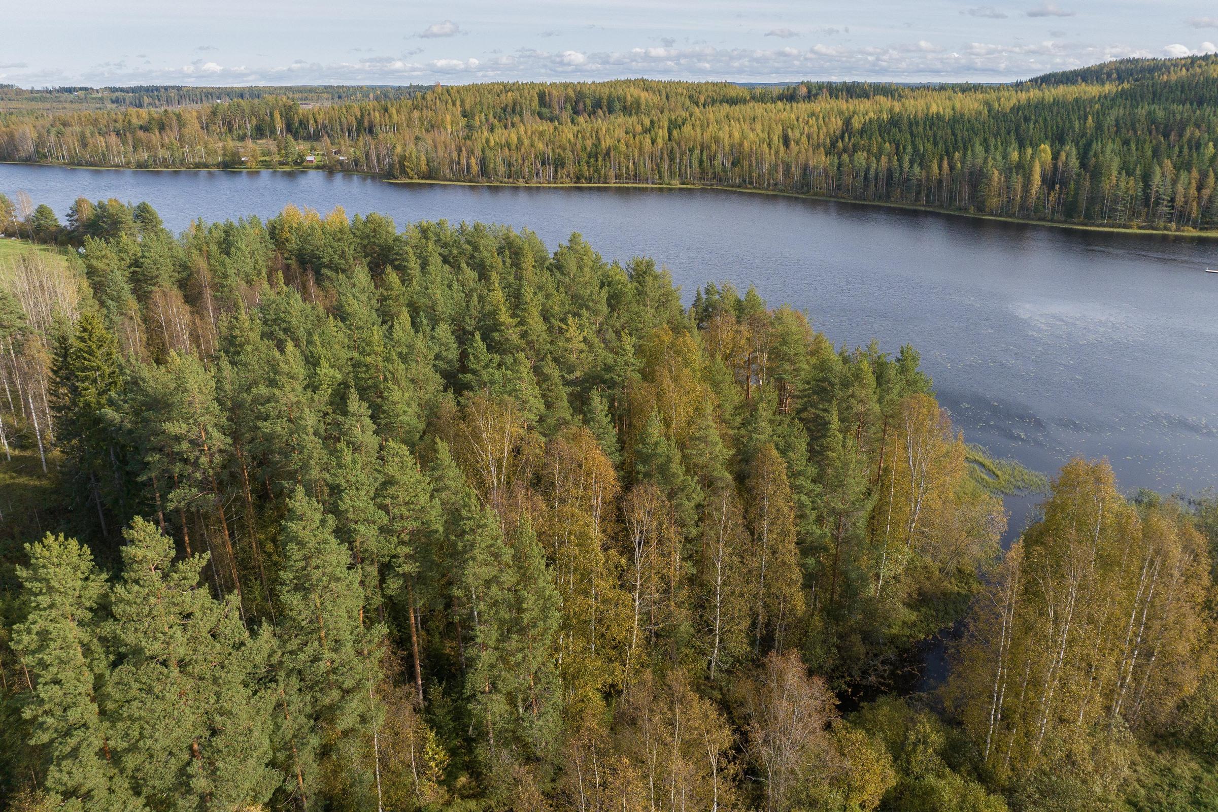 Kohdekuva 3