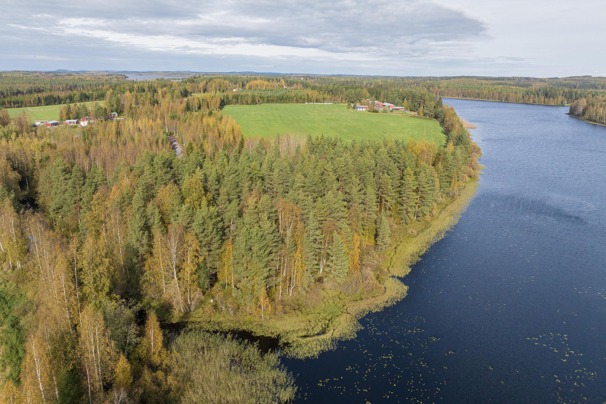 Kohdekuva 1