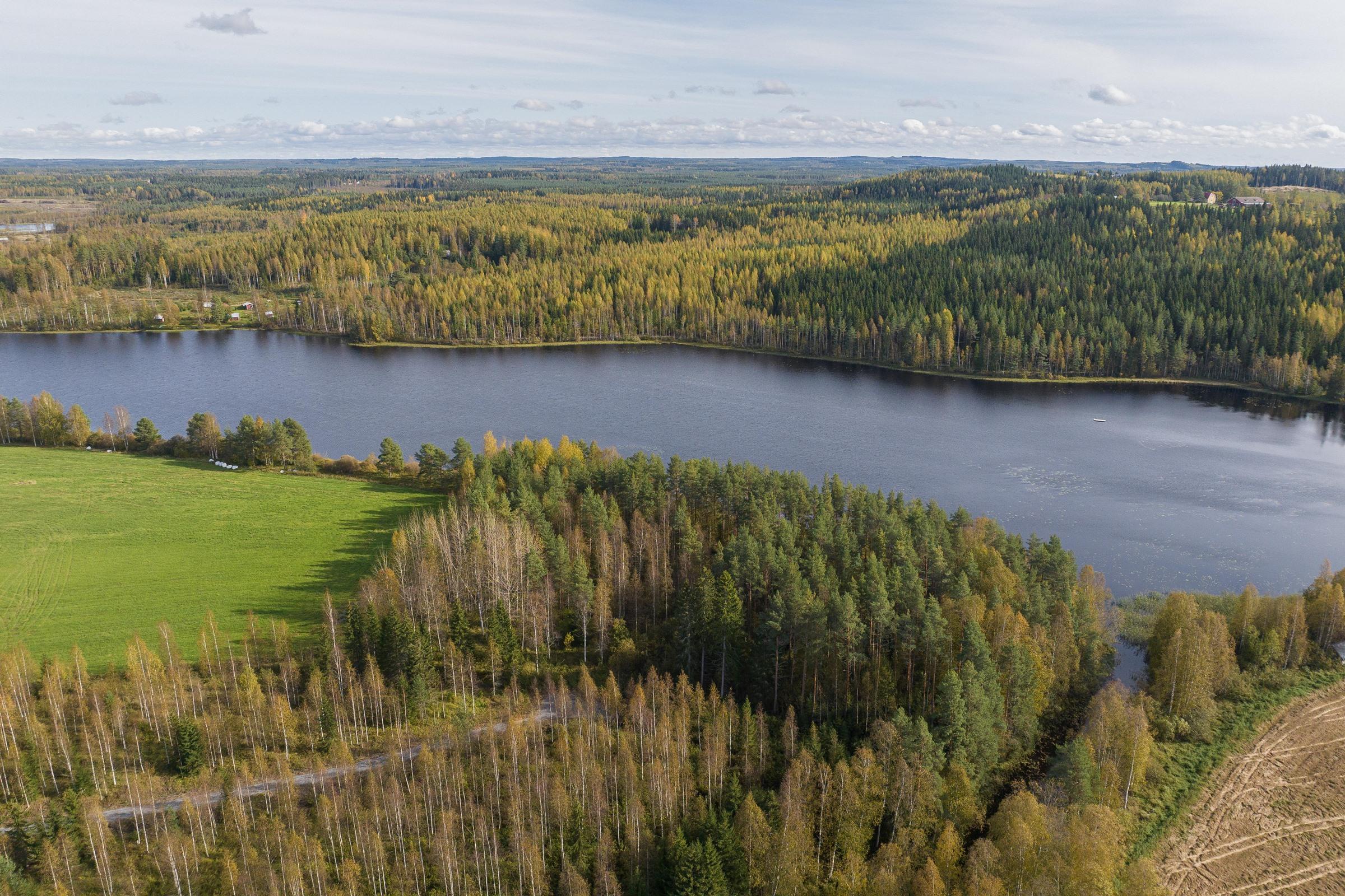 Kohdekuva 6