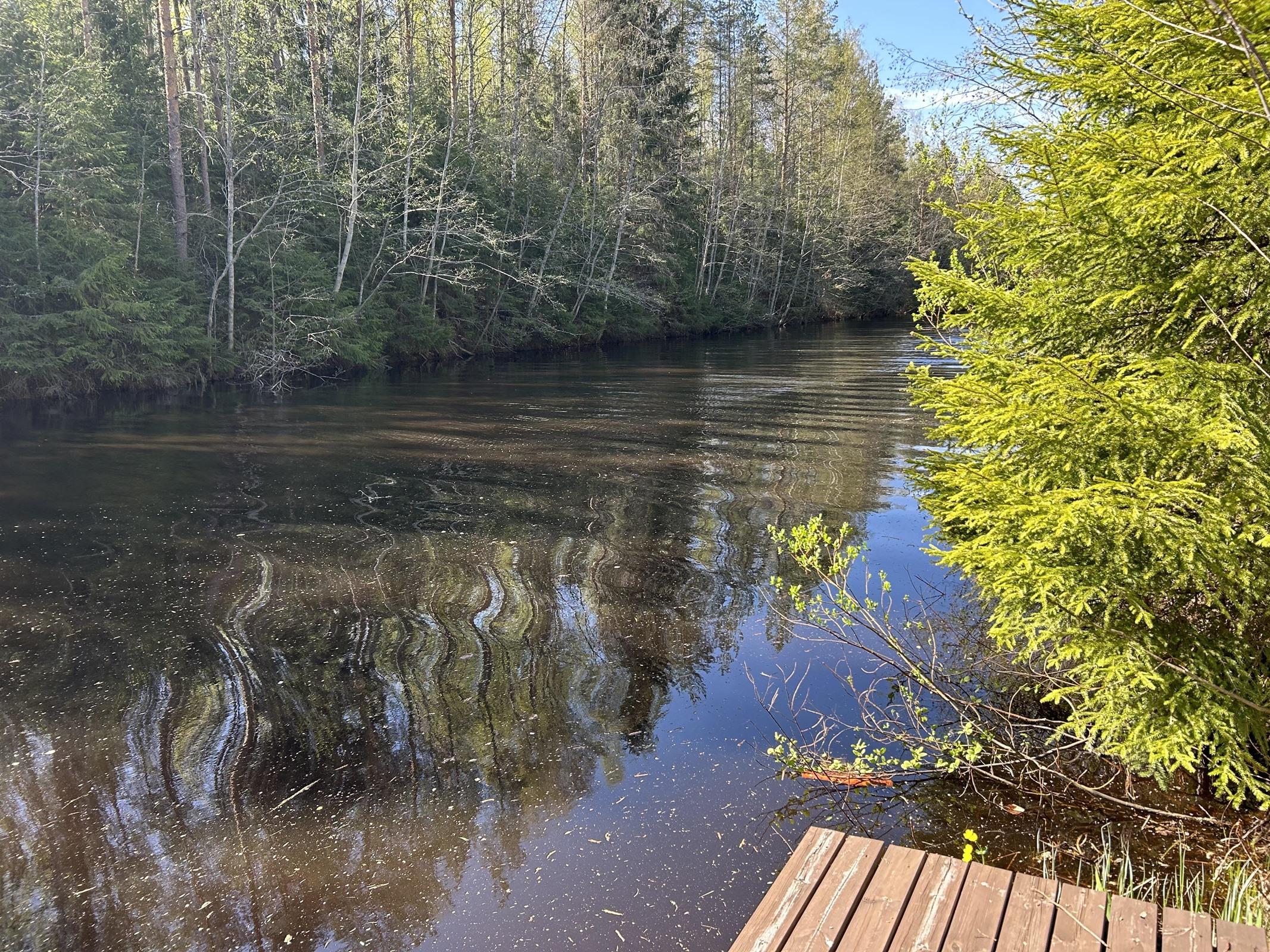 Kohdekuva 17