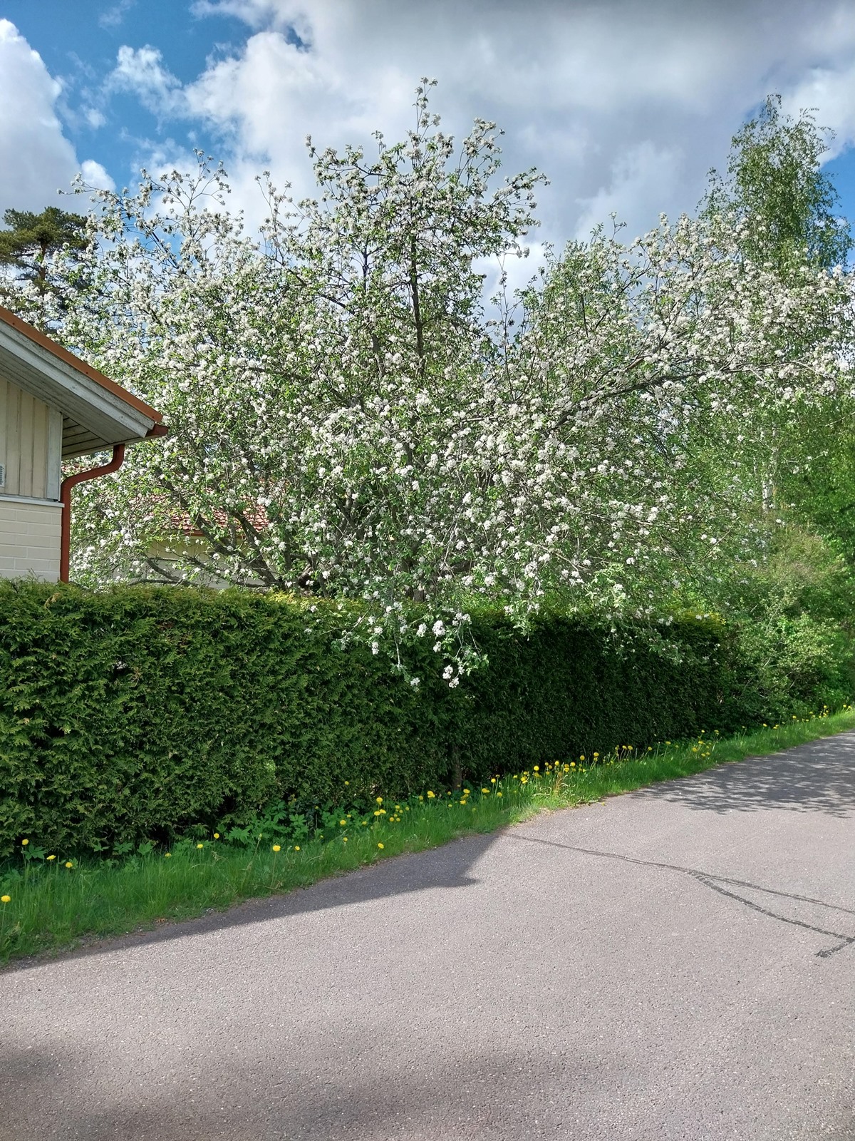 Kohdekuva 7