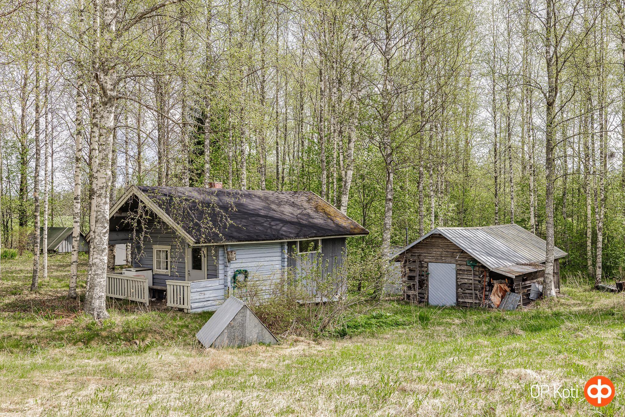 Kohdekuva 9