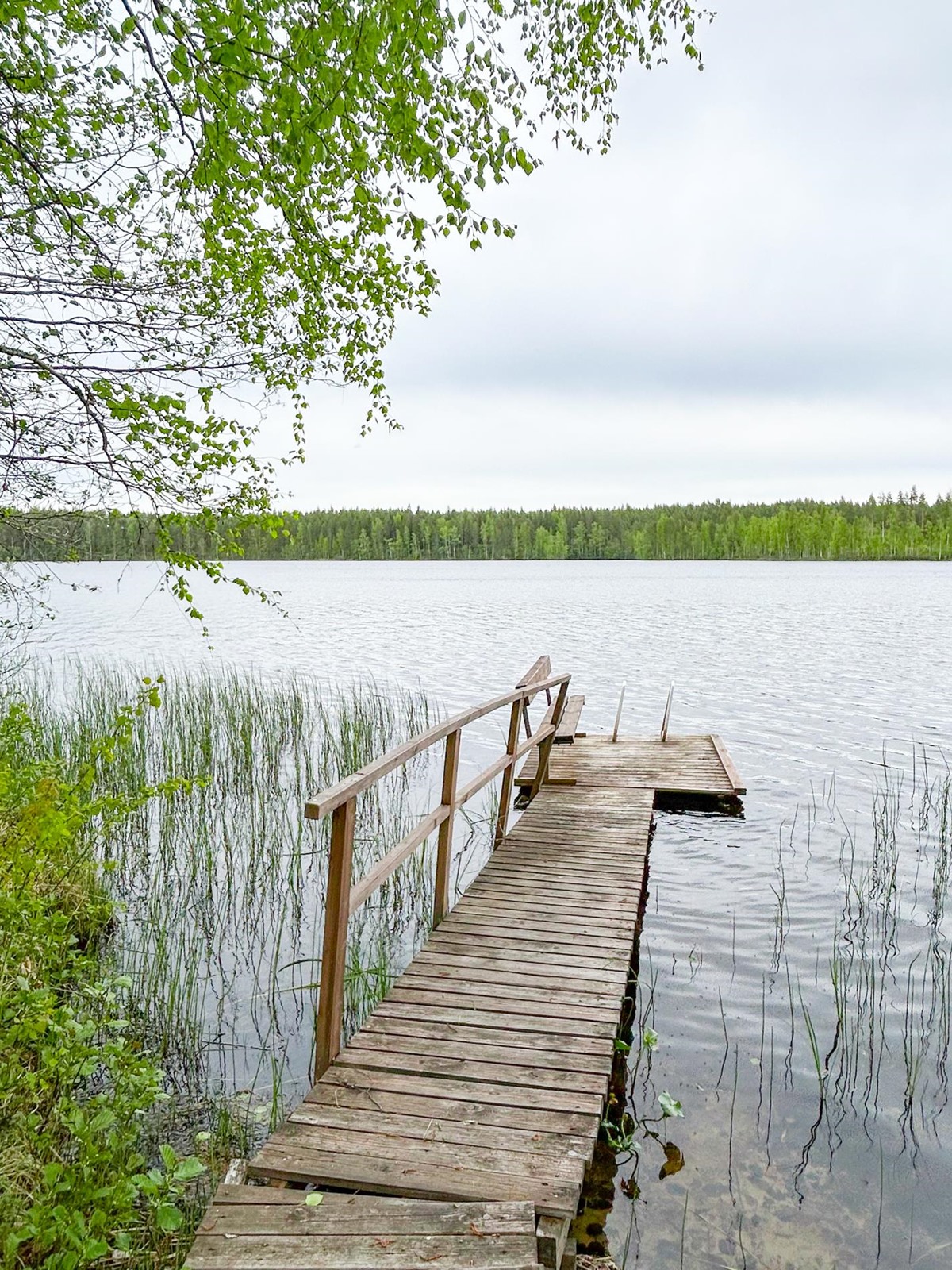 Kohdekuva 18