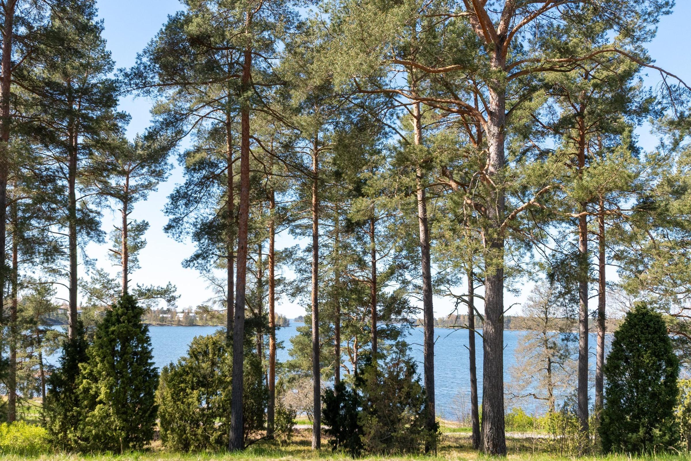 Kohdekuva 27