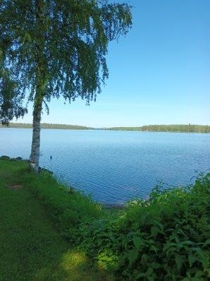 Kohdekuva 4