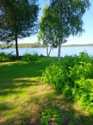Kohdekuva 5