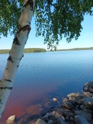 Kohdekuva 2