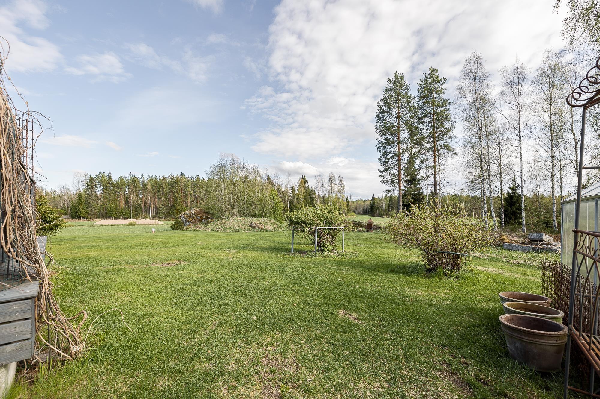 Kohdekuva 50