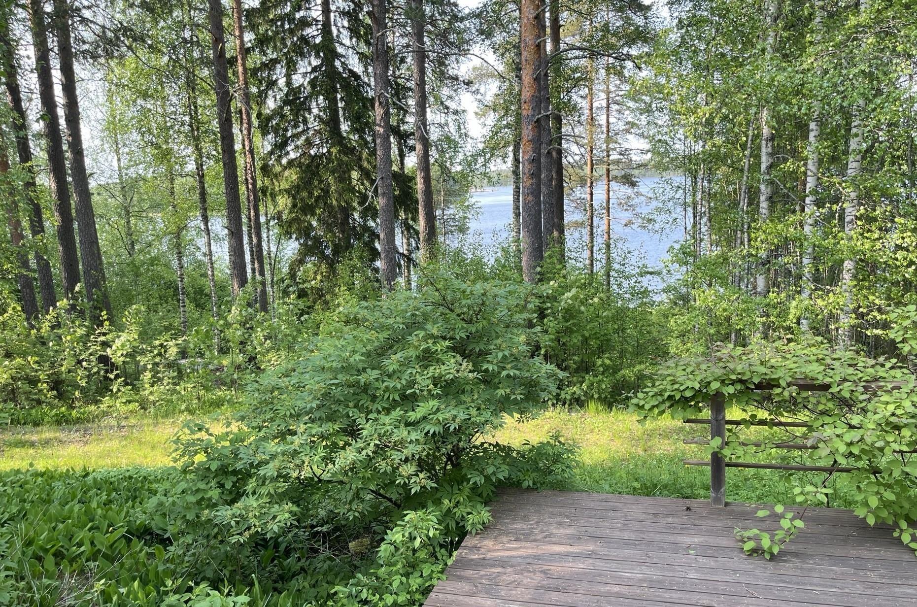 Kohdekuva 19