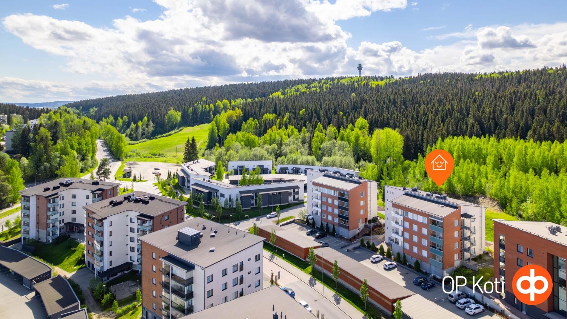 Kohdekuva 19