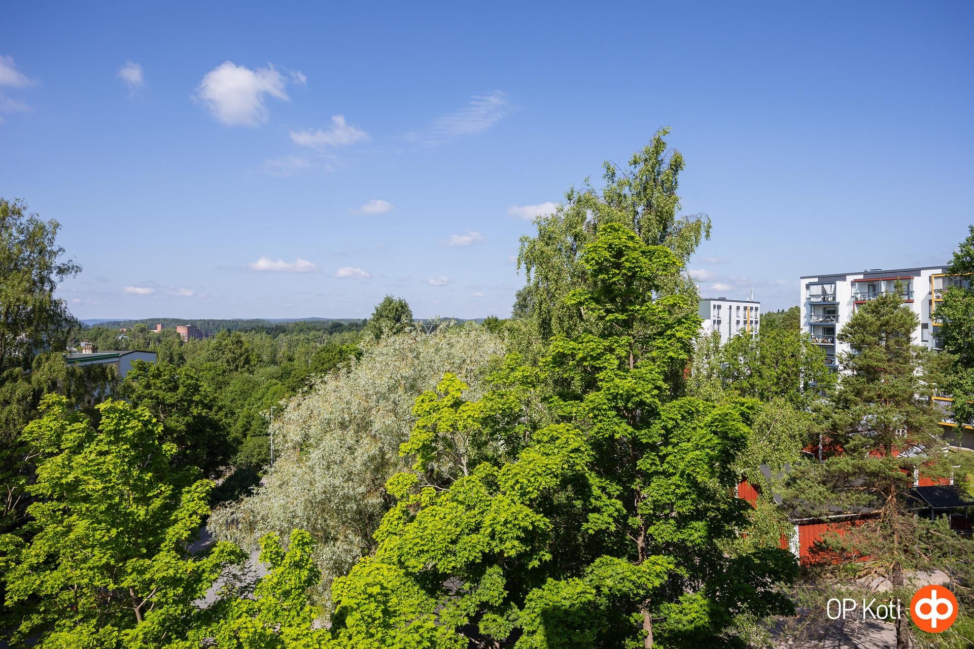 Kohdekuva 8