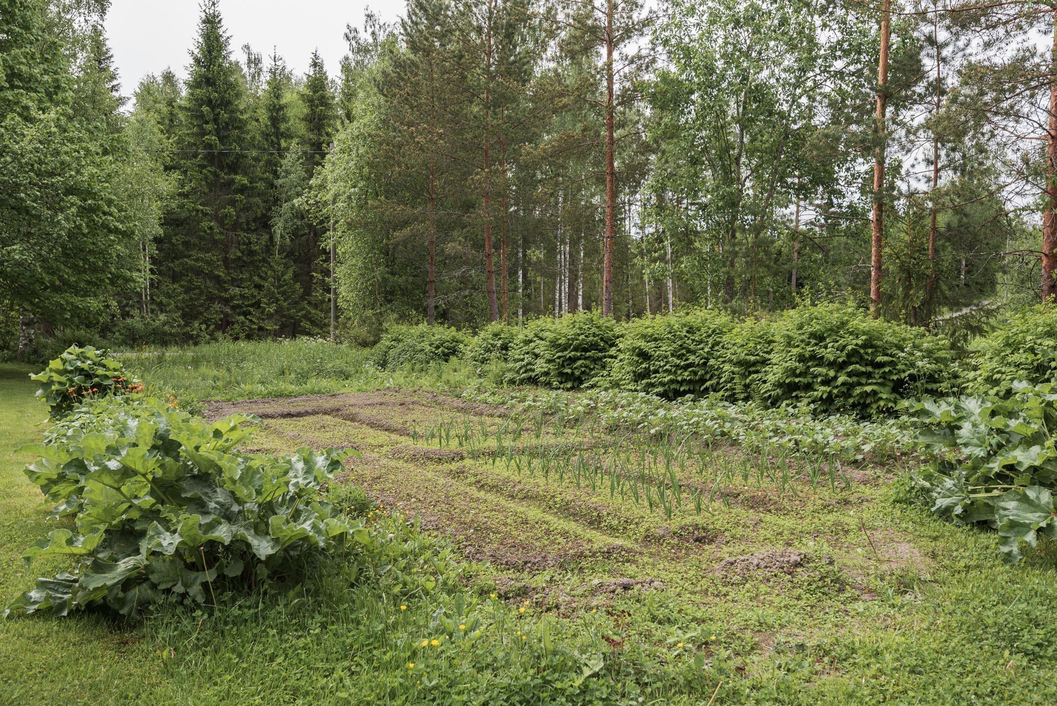 Kohdekuva 22