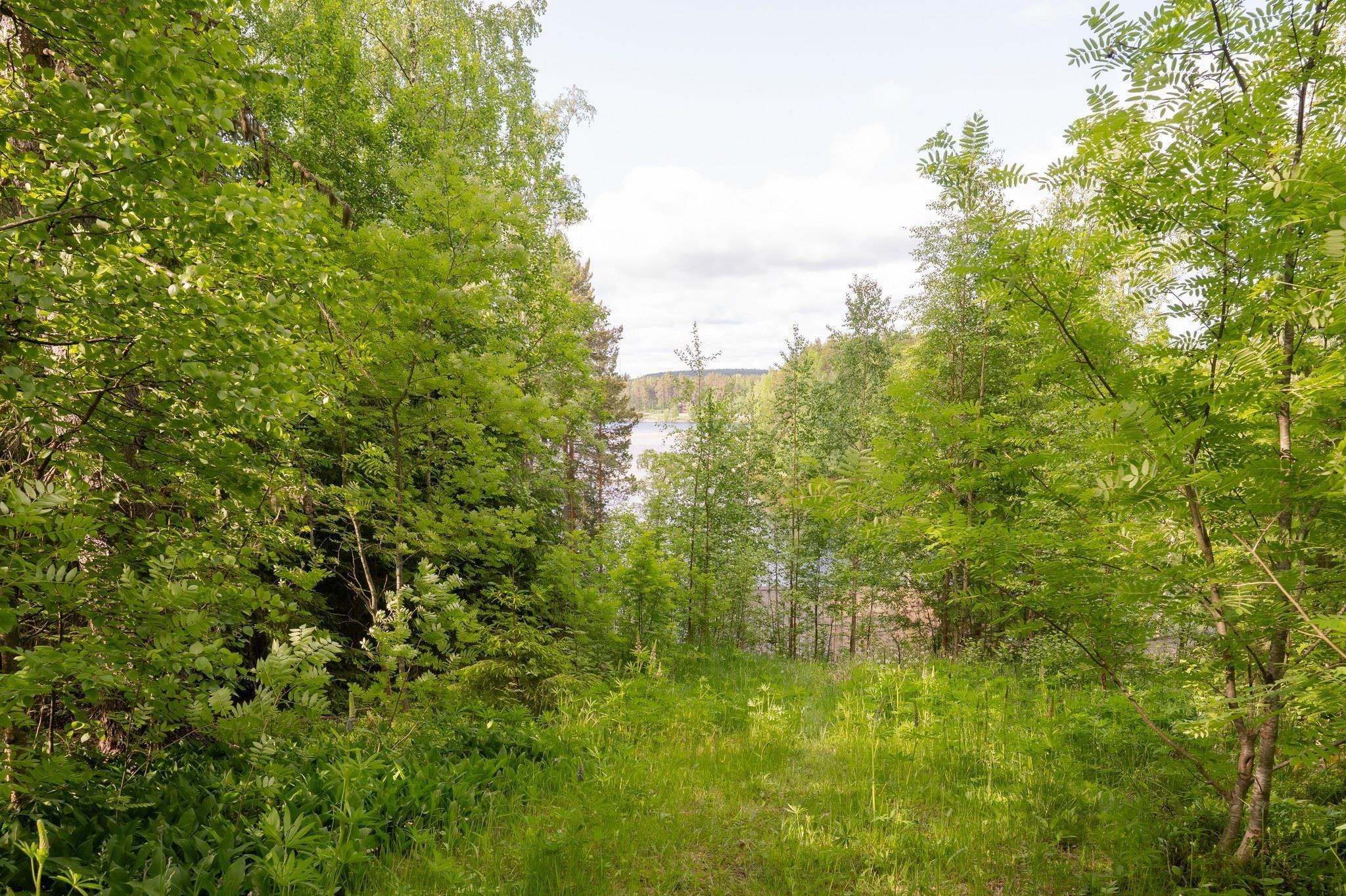 Kohdekuva 42