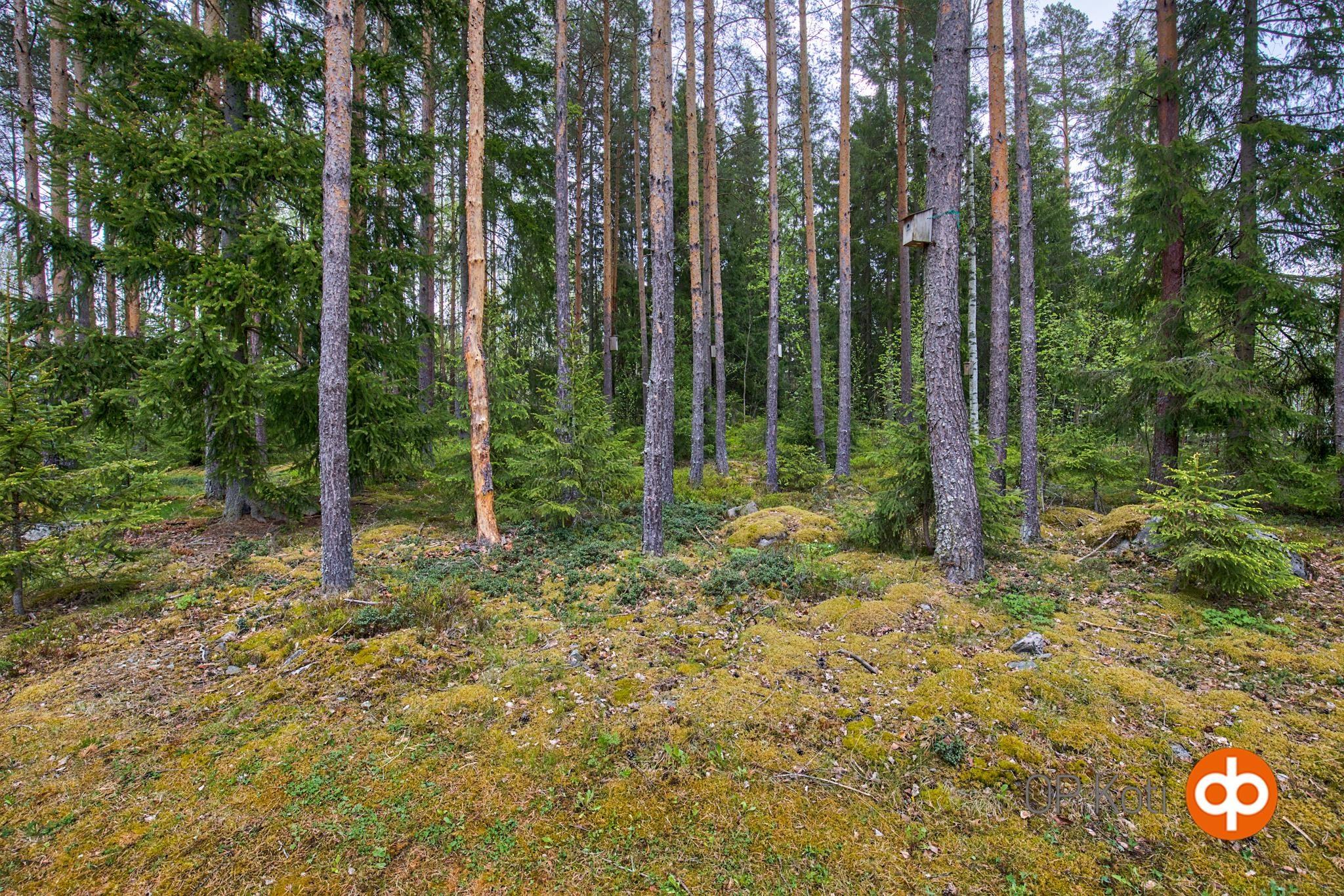 Kohdekuva 32