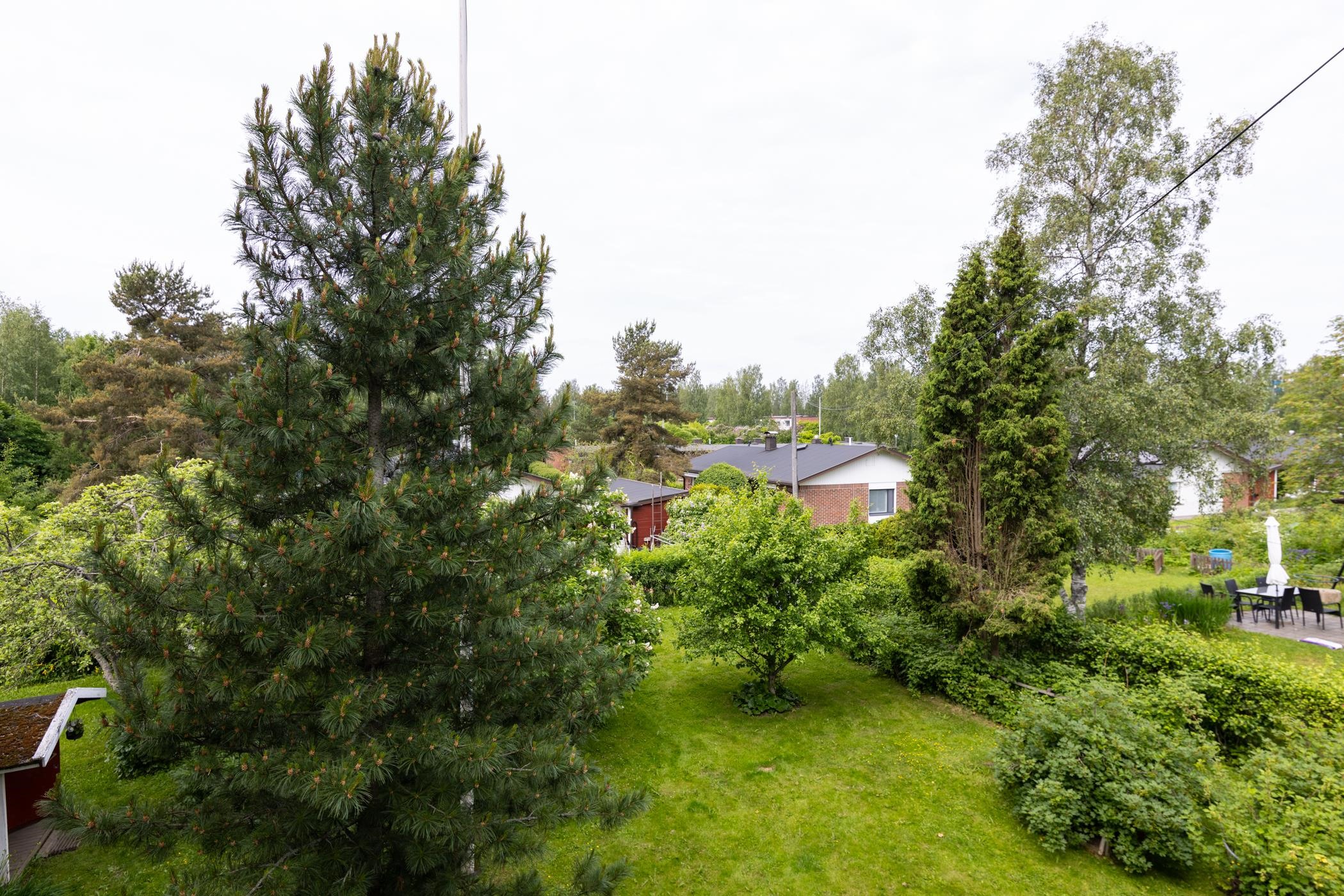 Kohdekuva 21