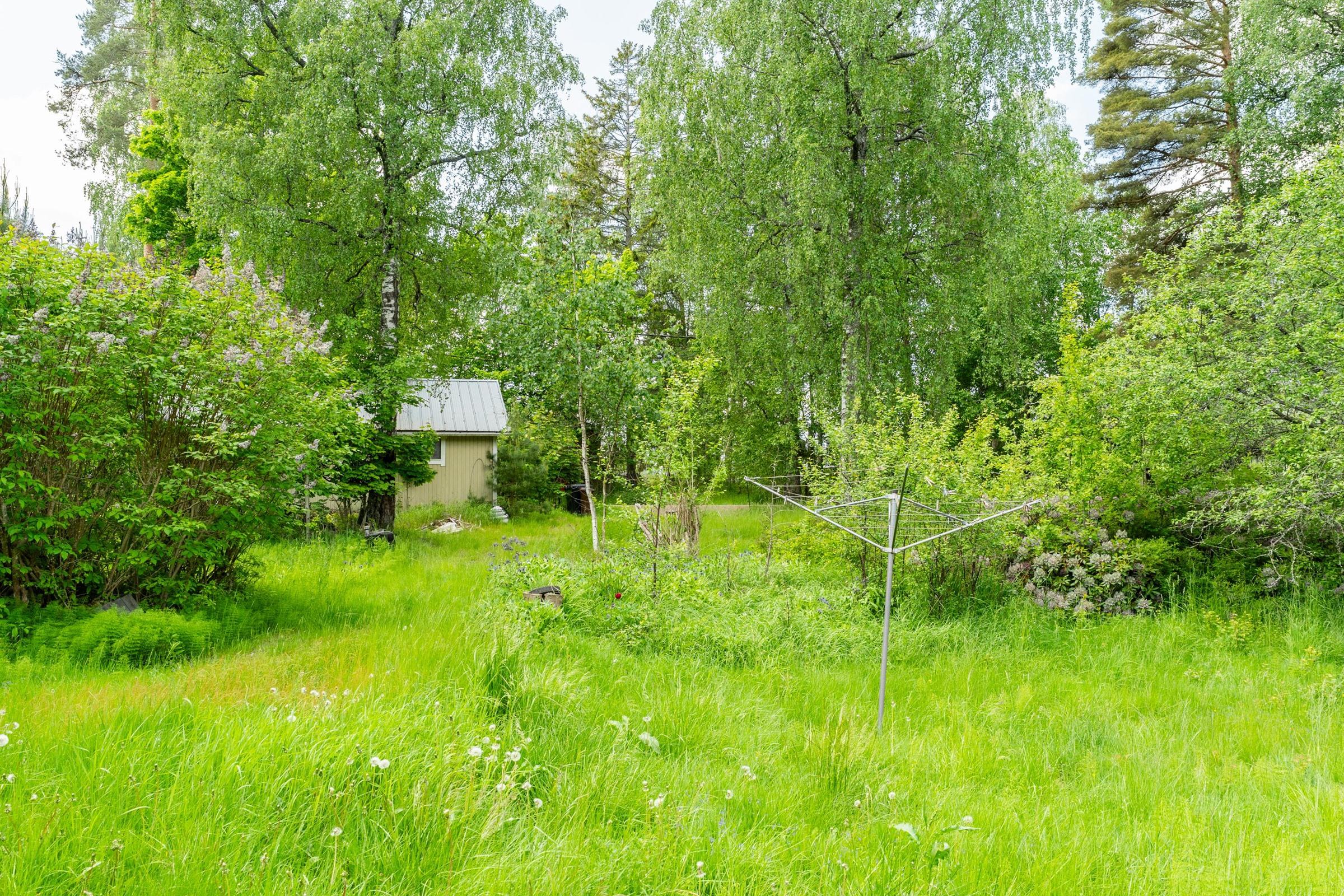 Kohdekuva 7