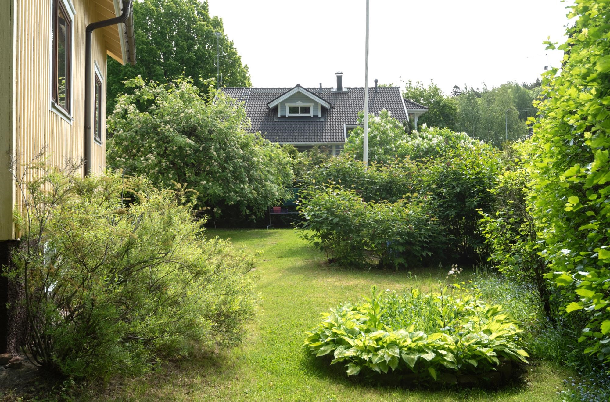 Kohdekuva 36
