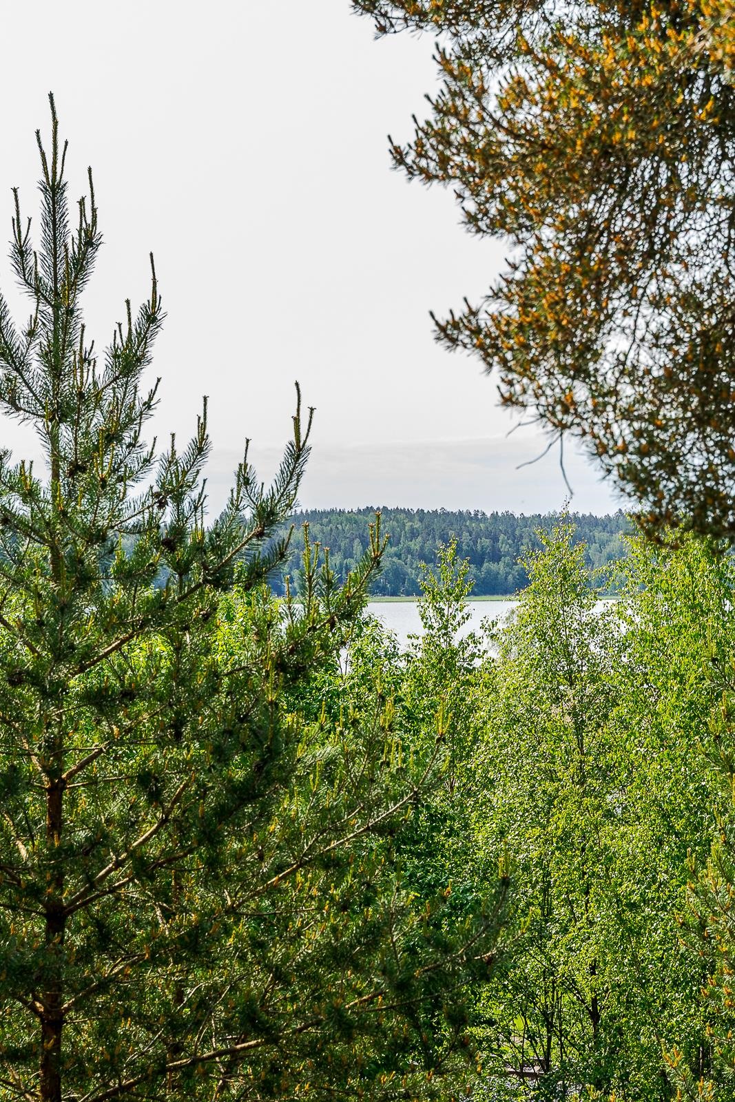 Kohdekuva 17