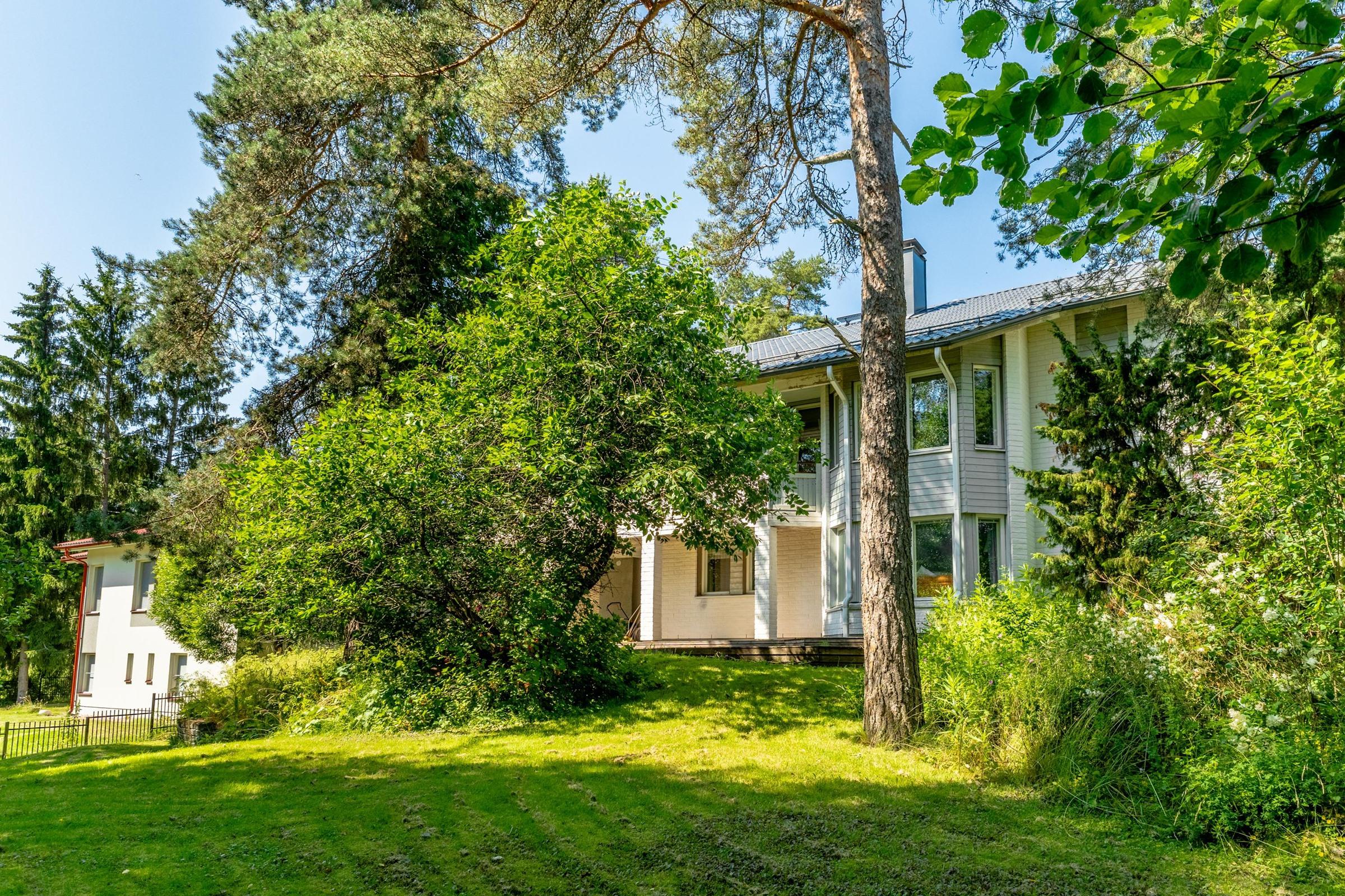 Kohdekuva 41