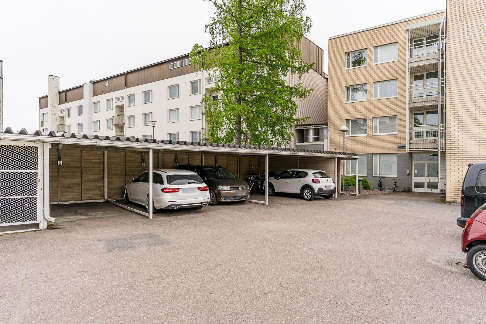 Kohdekuva 24