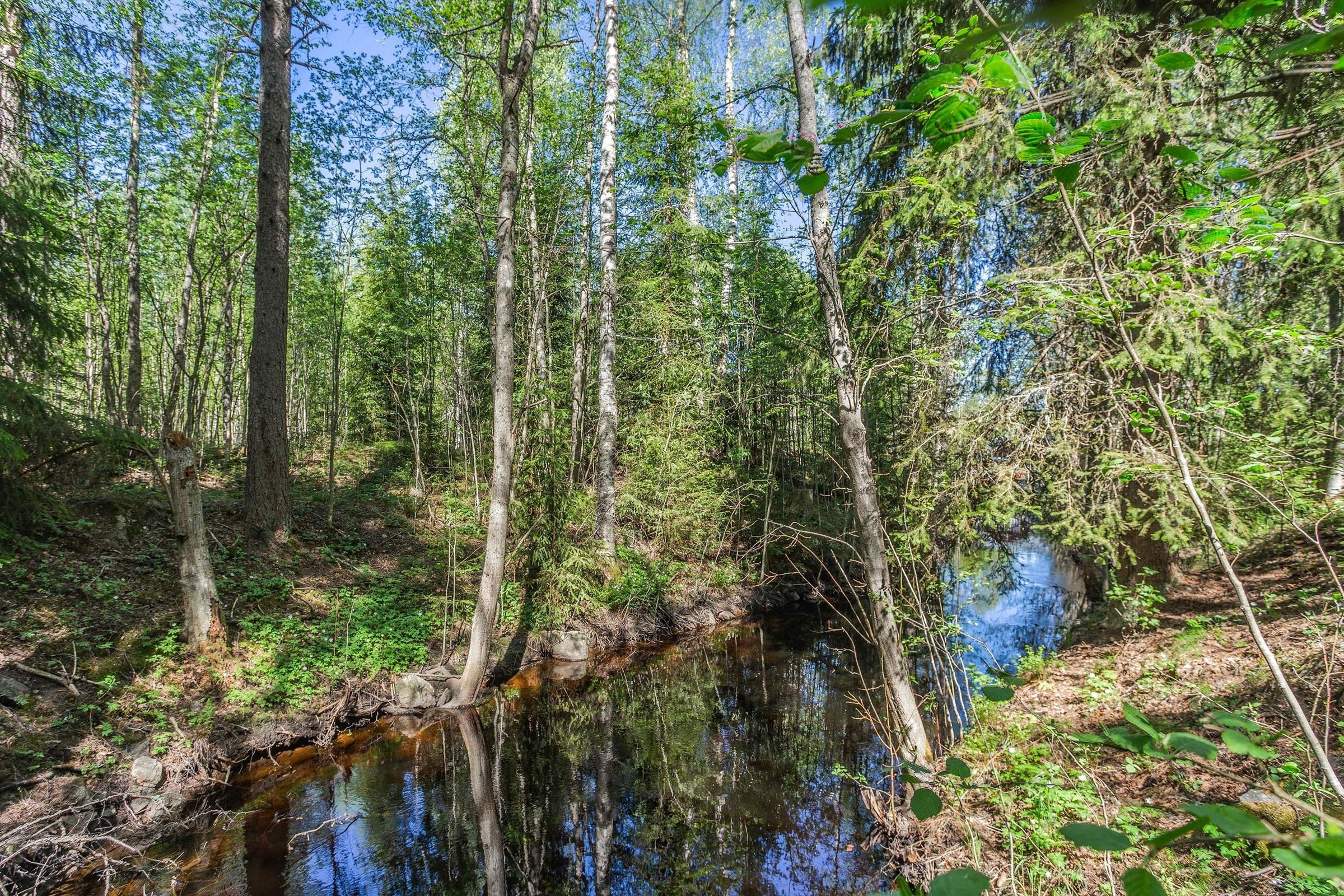 Kohdekuva 15