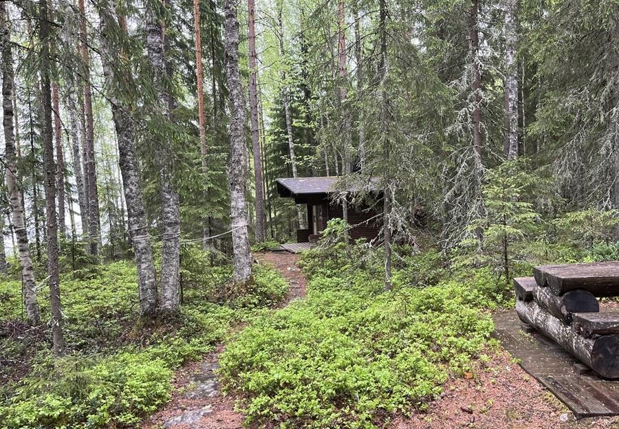 Kohdekuva 8