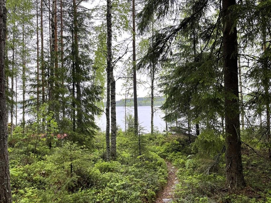 Kohdekuva 11