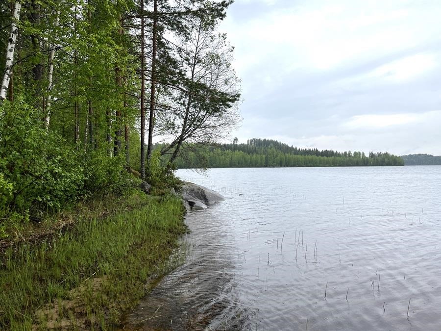Kohdekuva 13