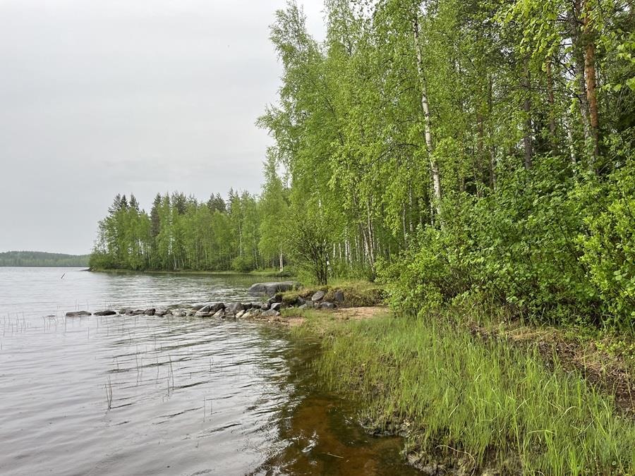 Kohdekuva 17