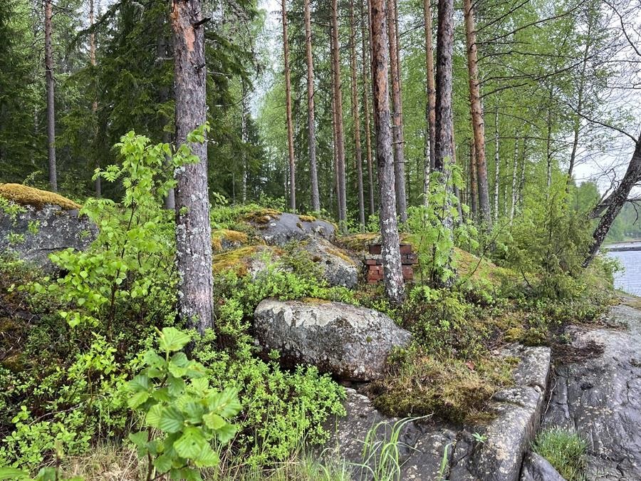 Kohdekuva 18