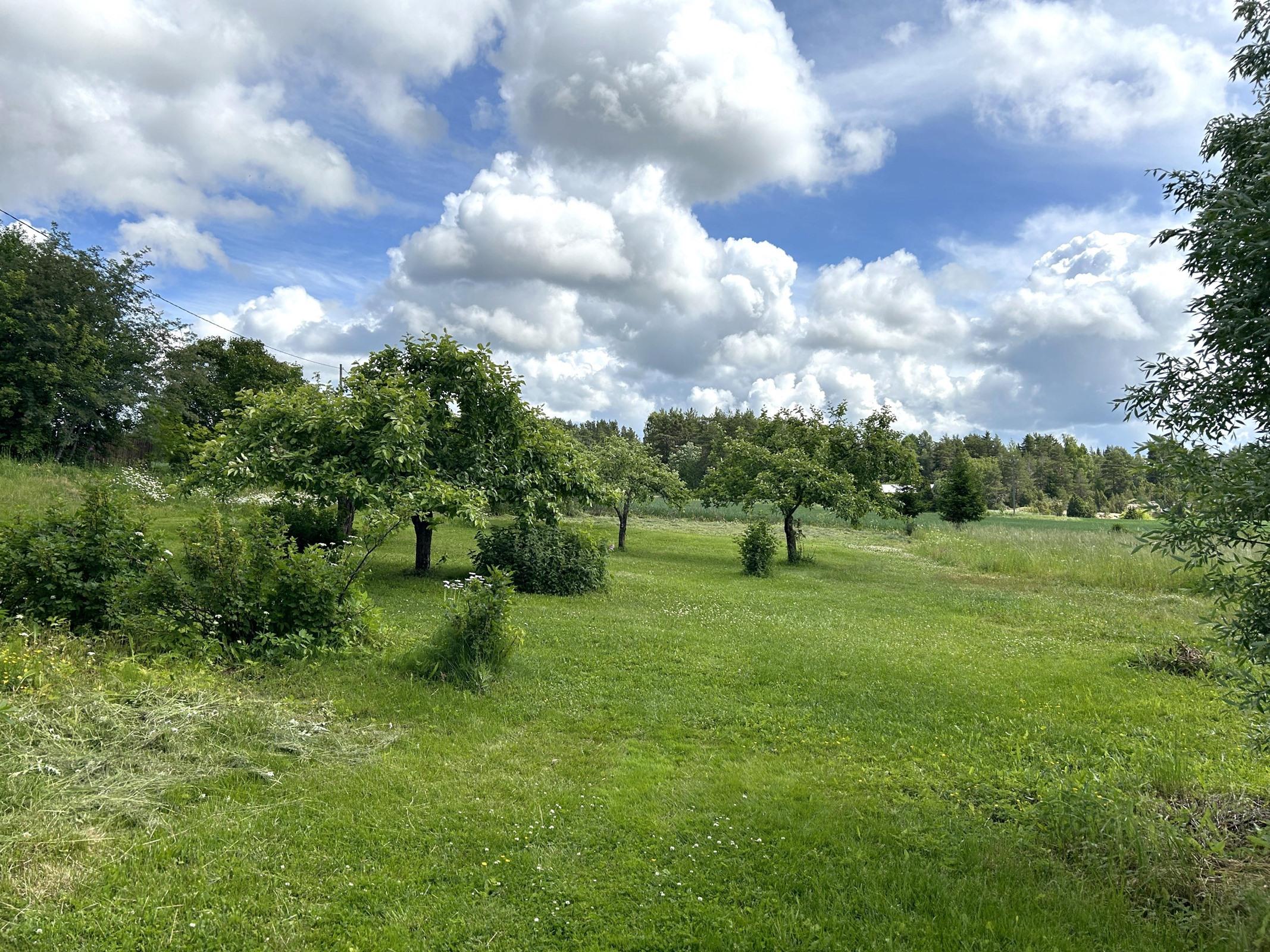 Kohdekuva 37