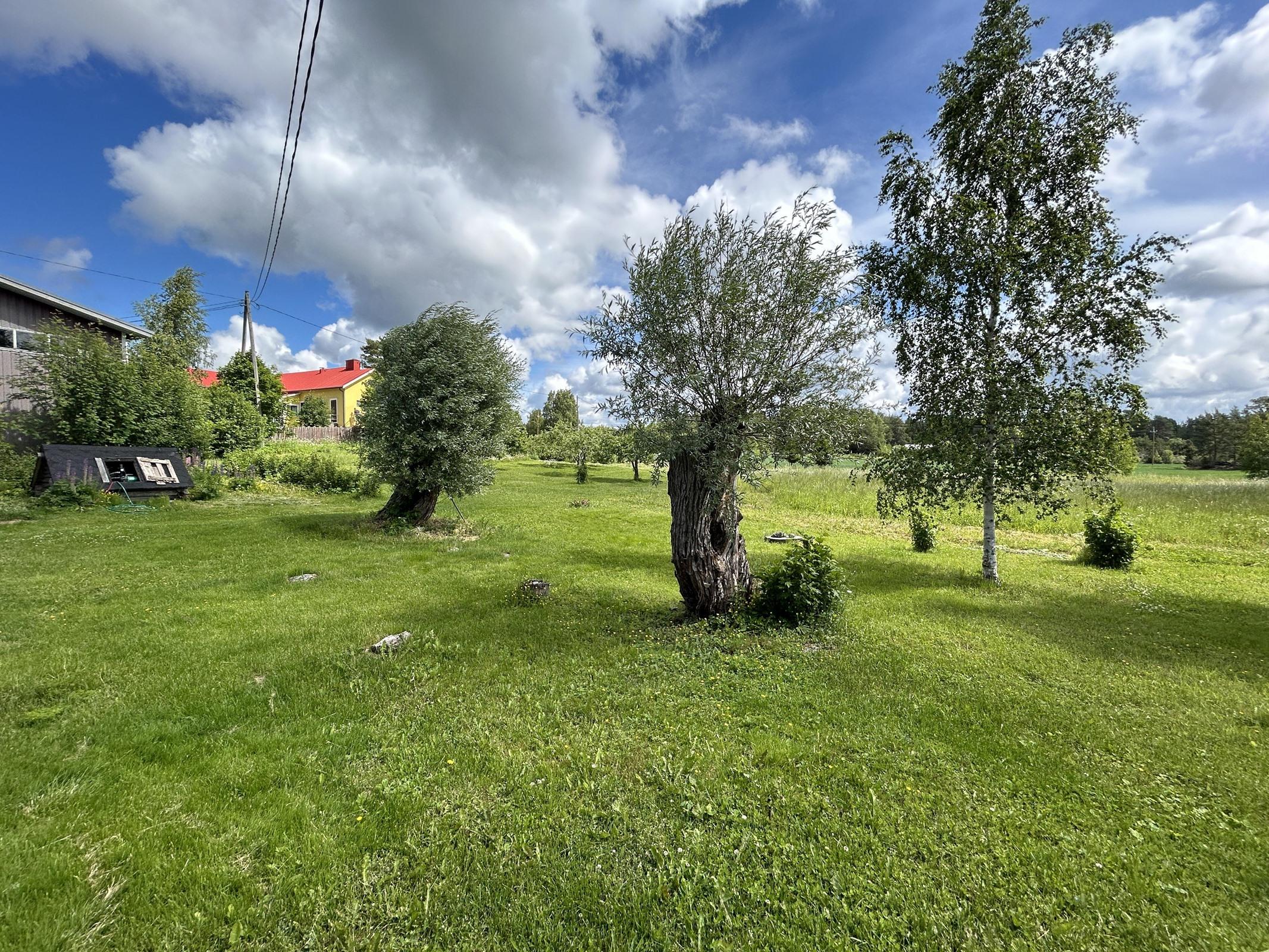 Kohdekuva 38