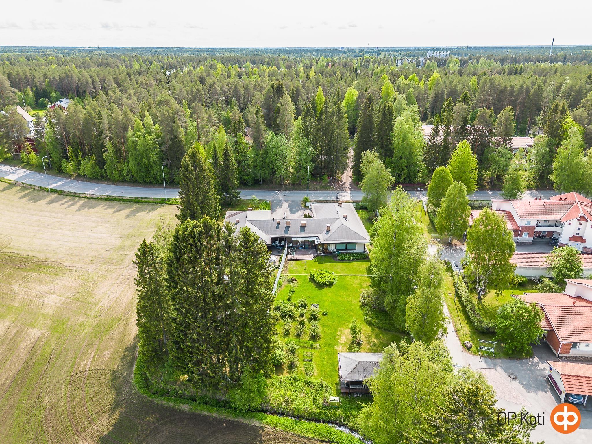 Kohdekuva 12