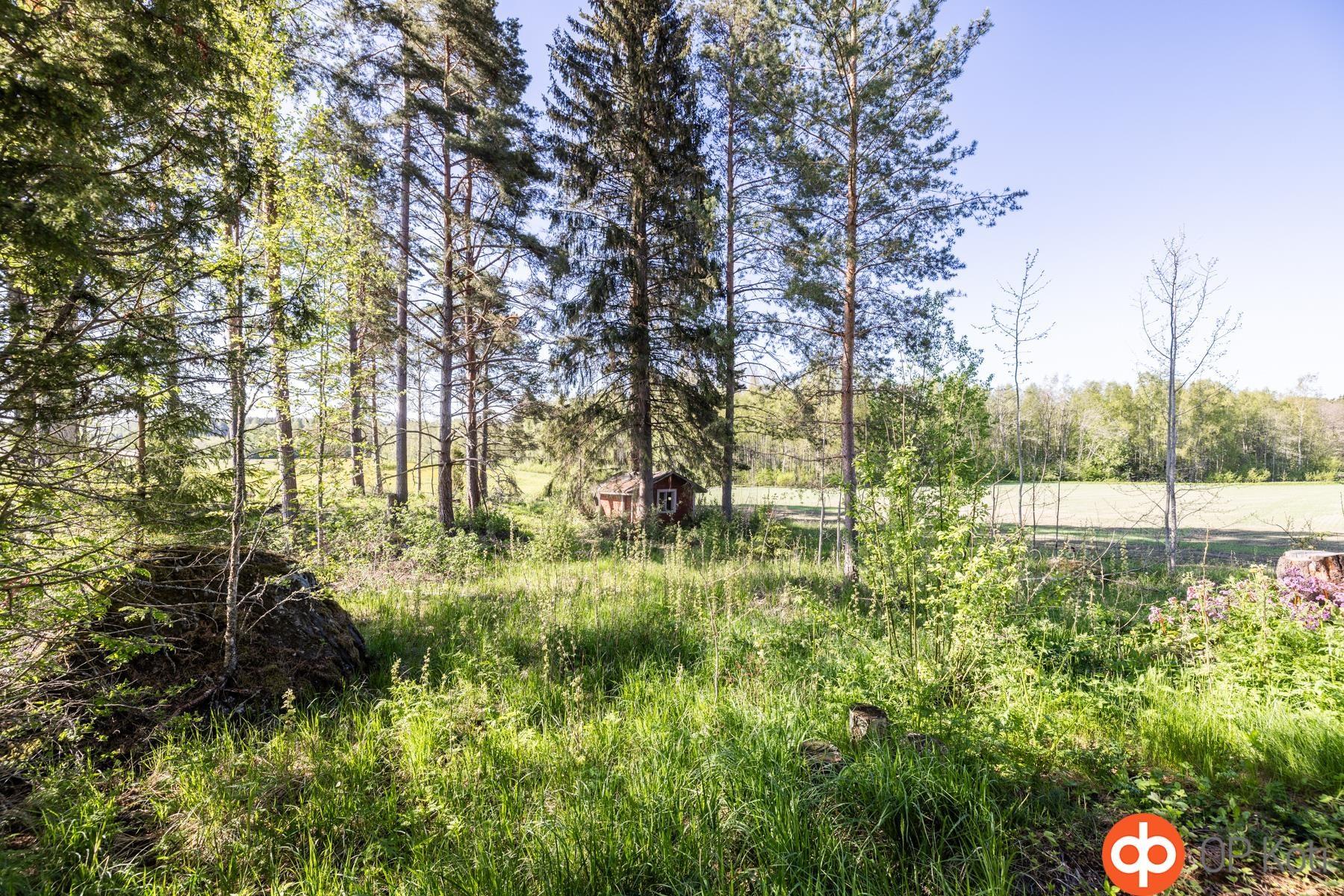 Kohdekuva 11