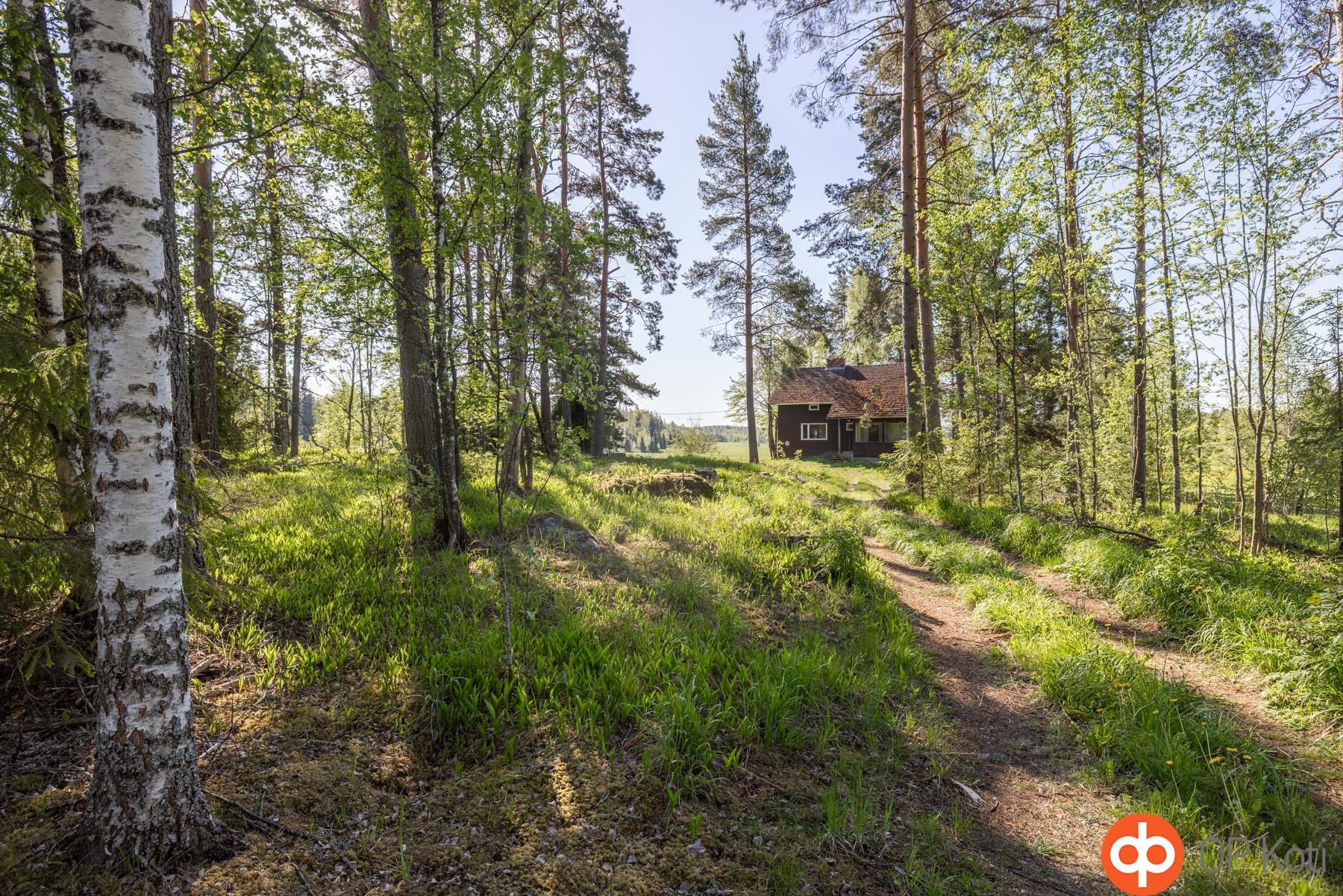 Kohdekuva 15