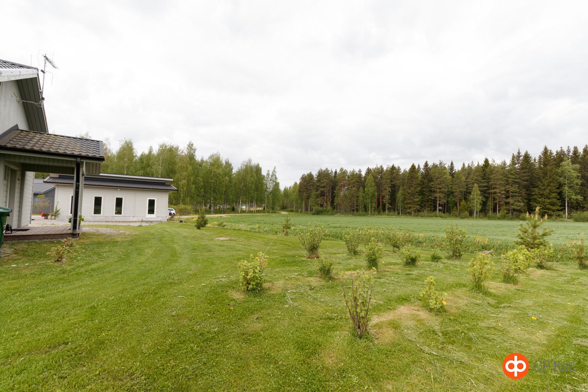 Kohdekuva 40