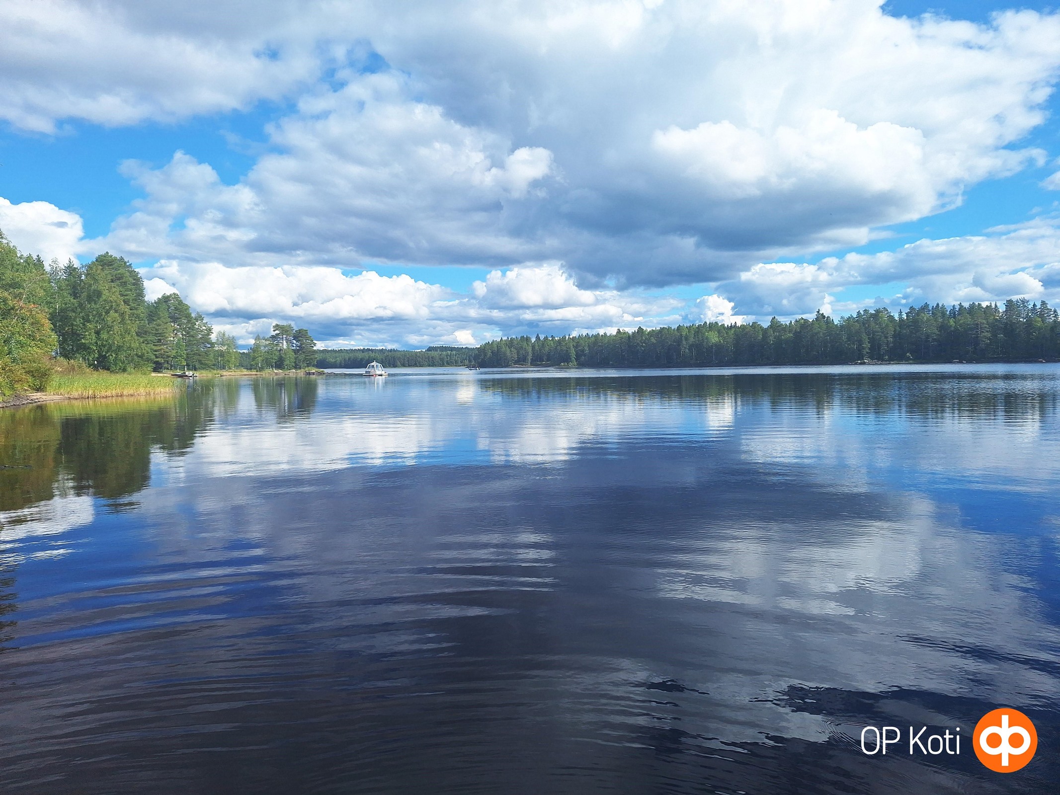 Kohdekuva 36