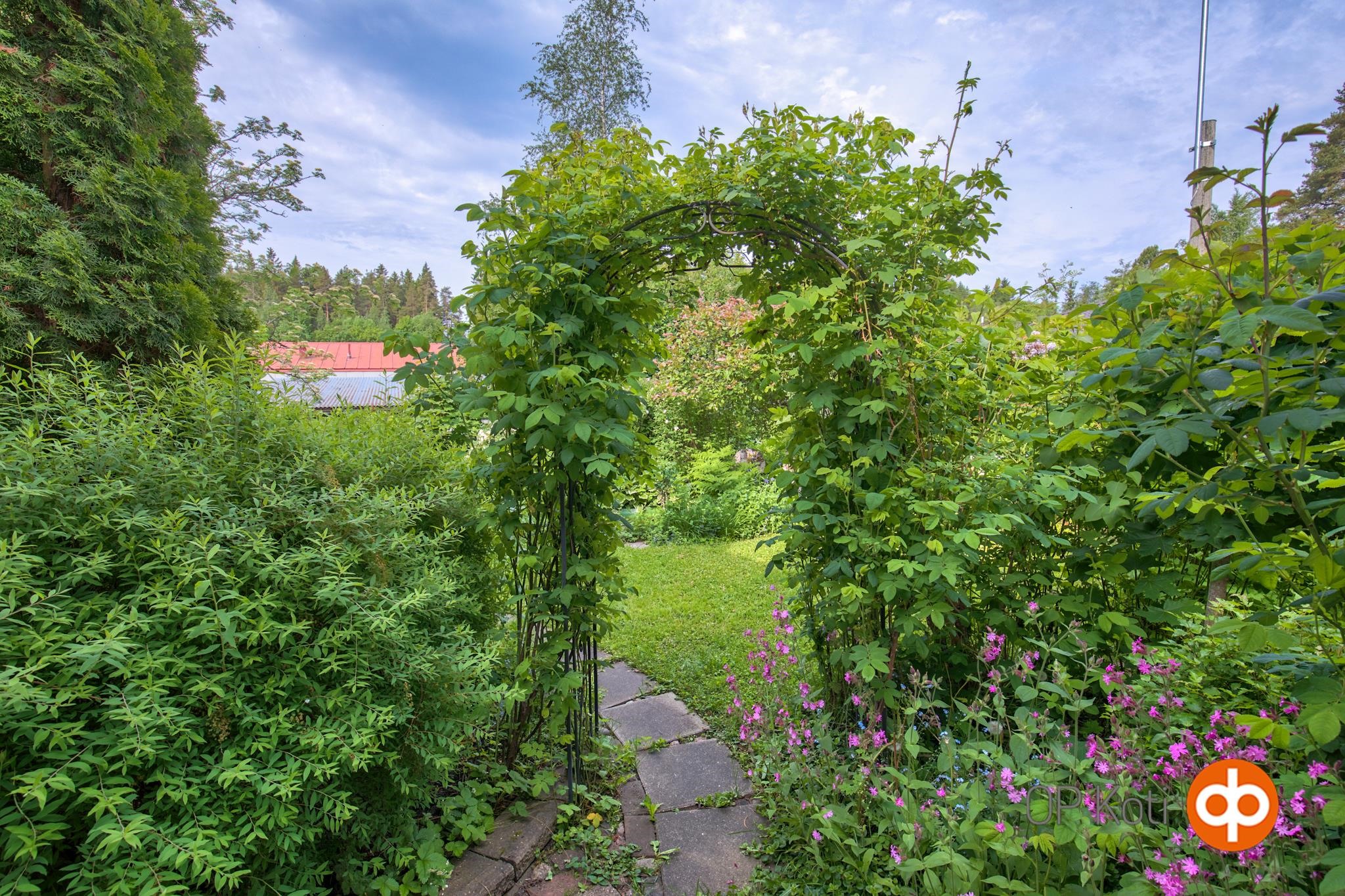 Kohdekuva 36