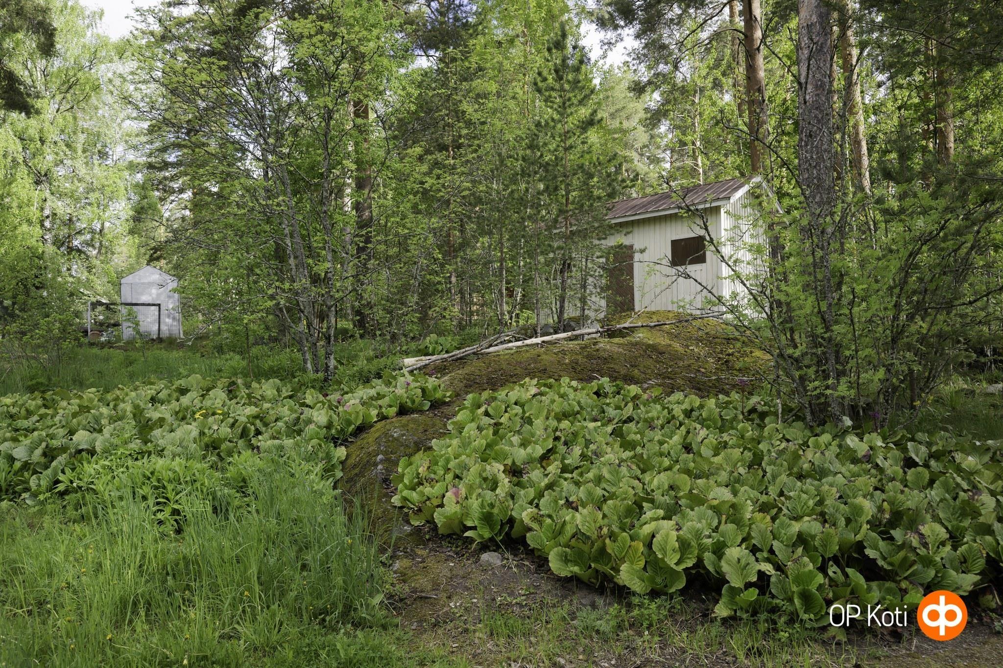 Kohdekuva 8