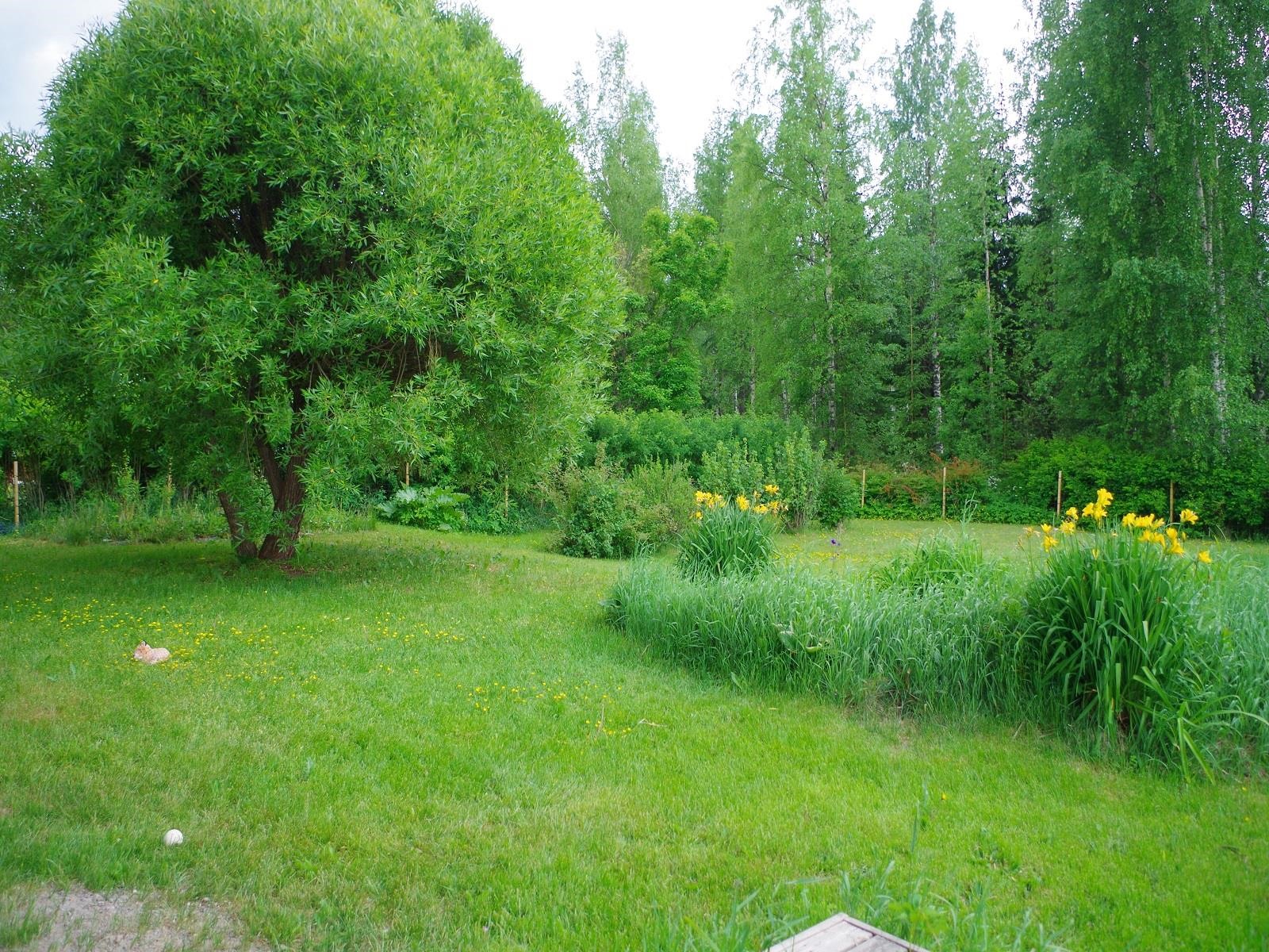 Kohdekuva 15