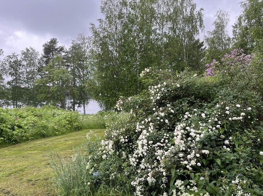Kohdekuva 22